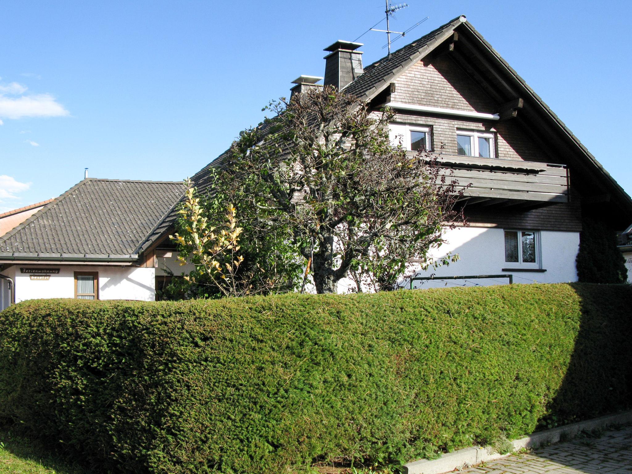 Foto 25 - Apartamento de 2 quartos em Schluchsee com terraço e vista para a montanha