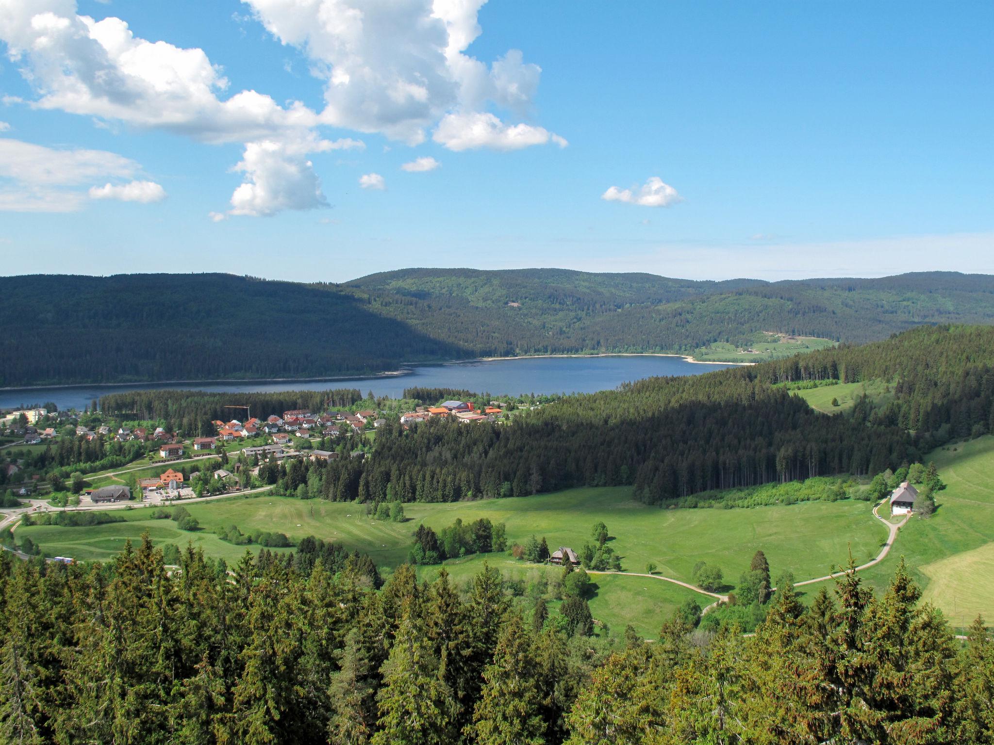 Photo 36 - Appartement de 3 chambres à Schluchsee avec jardin et vues sur la montagne