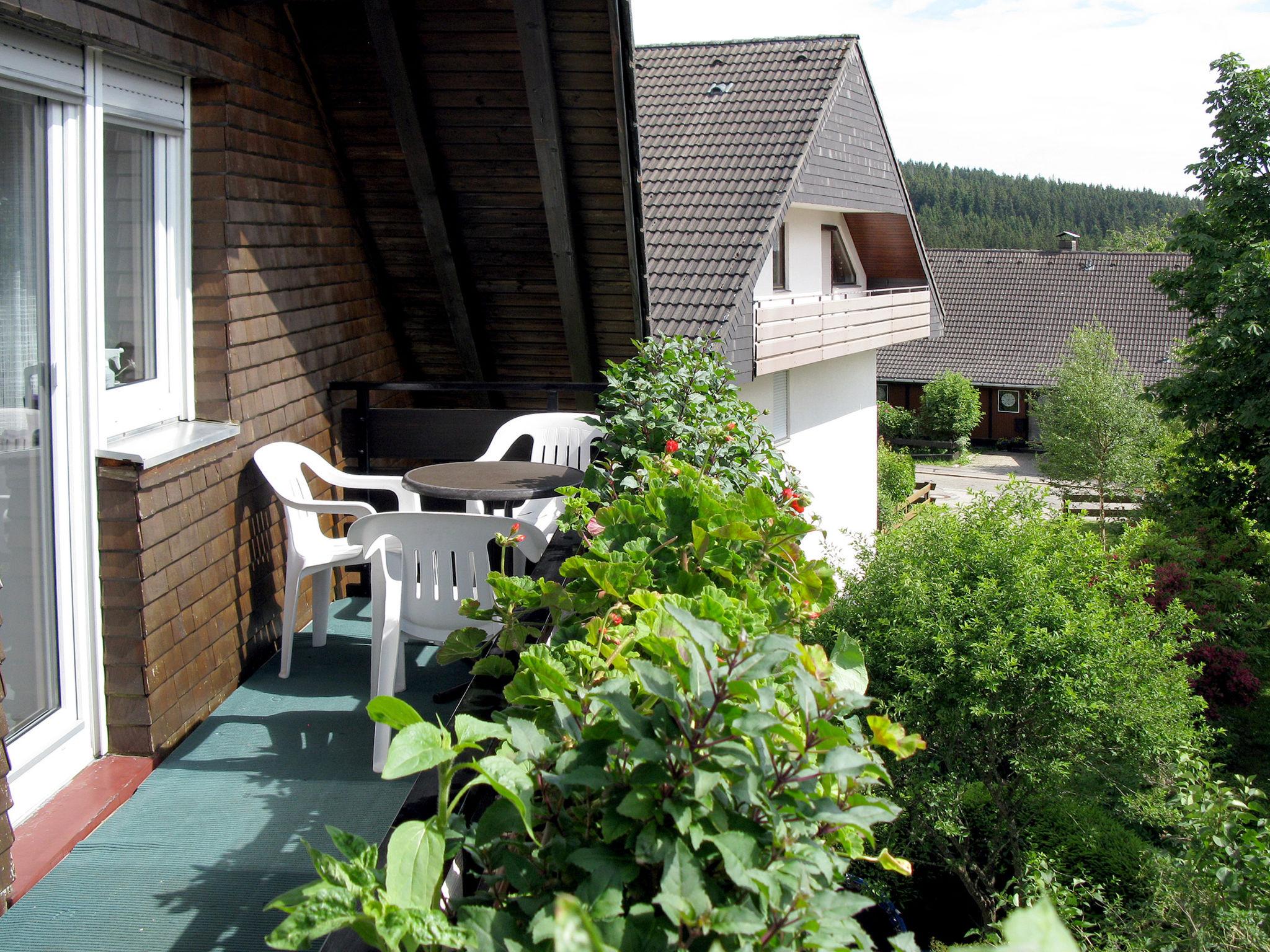 Photo 24 - Appartement de 2 chambres à Schluchsee avec terrasse