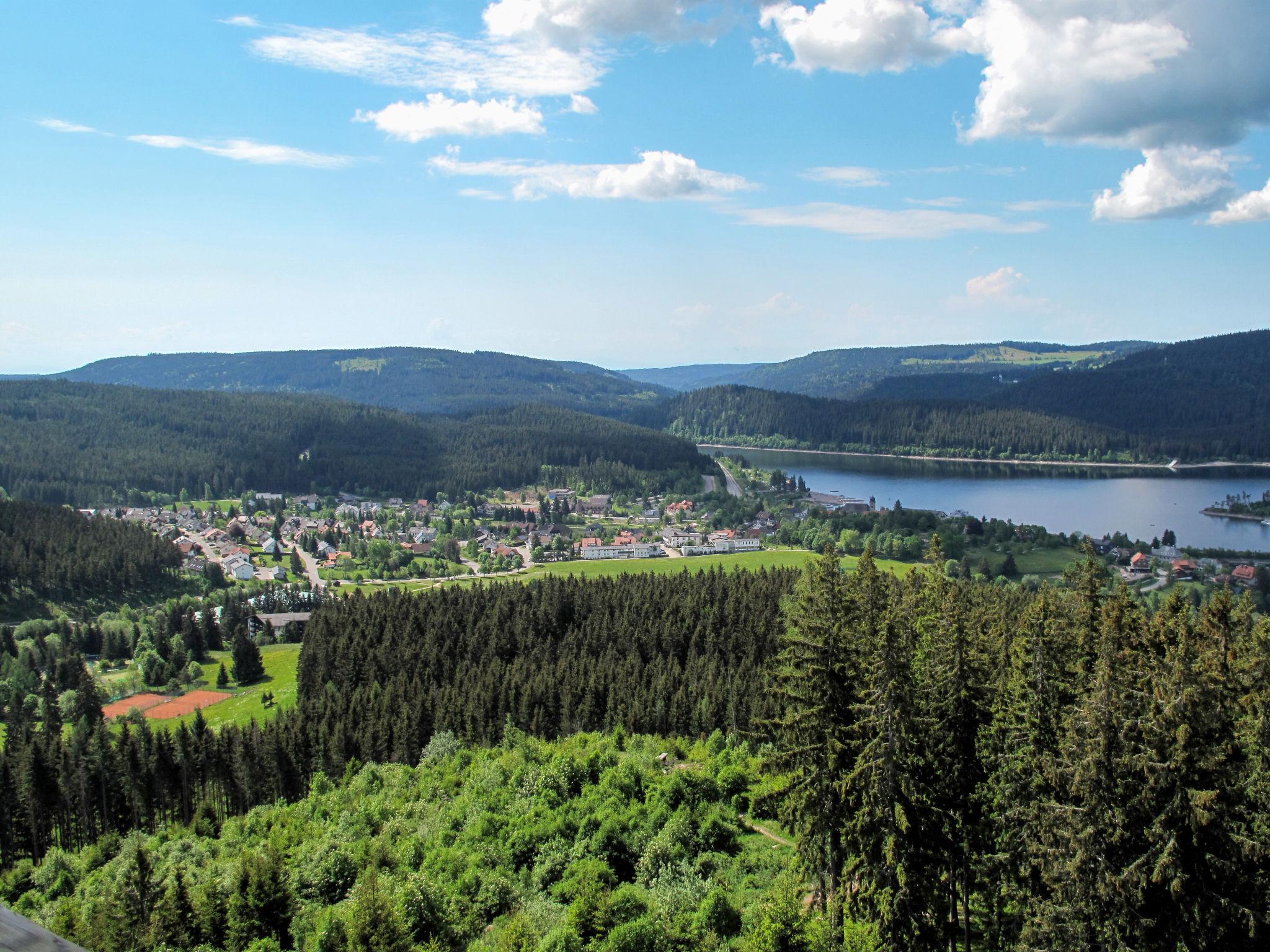 Photo 35 - Appartement de 3 chambres à Schluchsee avec jardin et vues sur la montagne