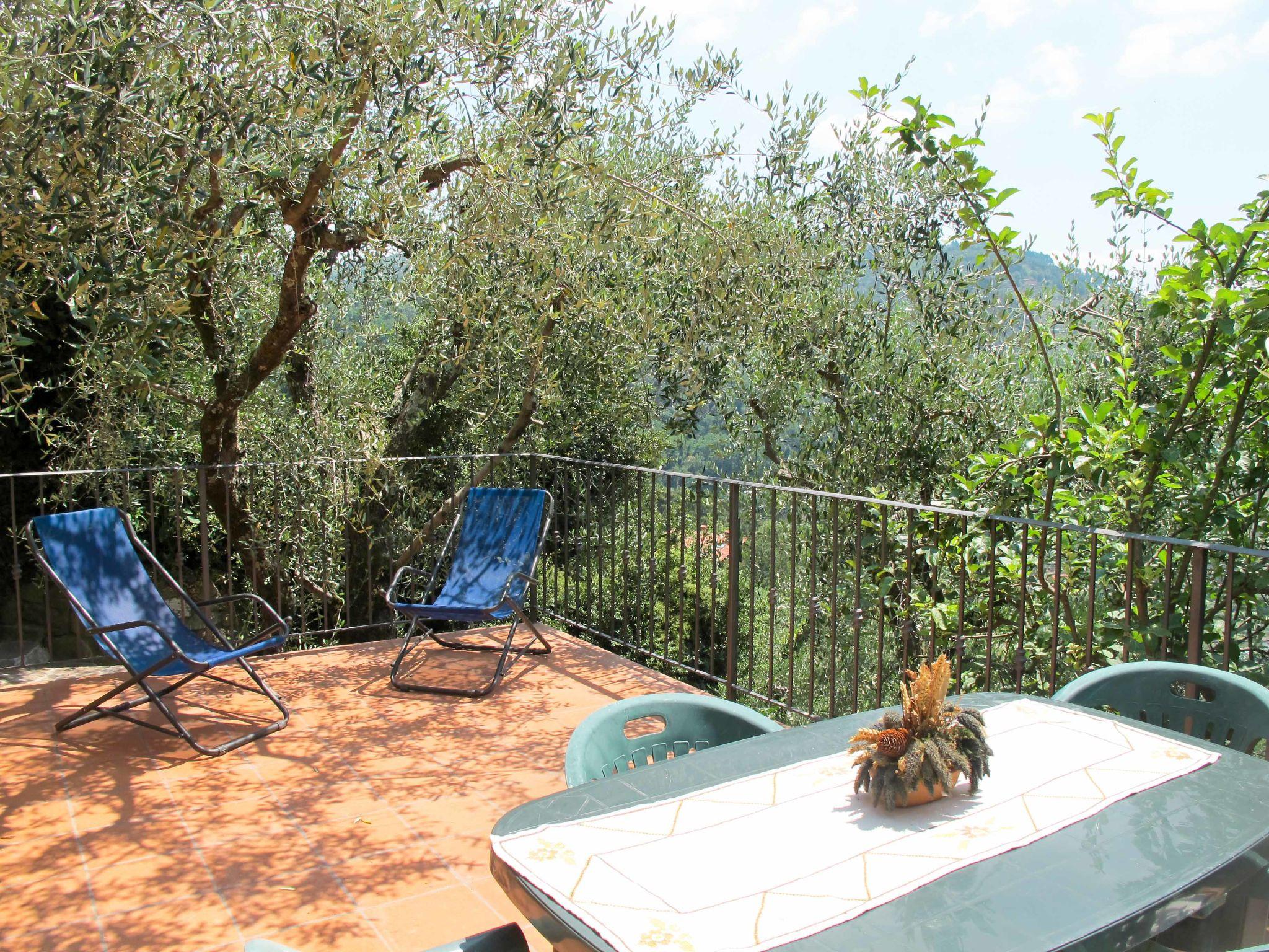 Foto 41 - Casa de 4 quartos em Pescia com piscina privada e terraço