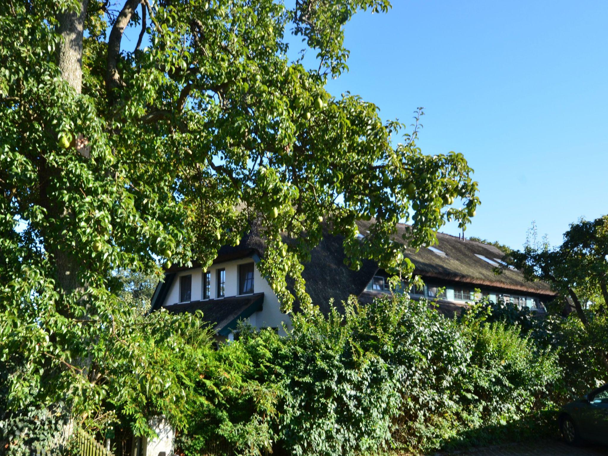 Photo 28 - Maison de 3 chambres à Mönchgut avec jardin et terrasse