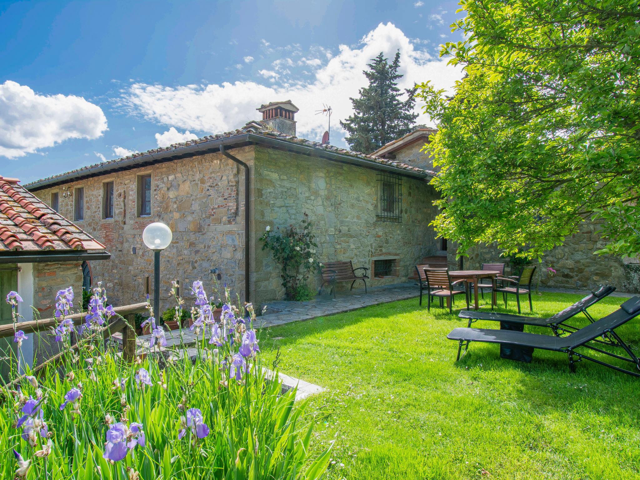 Foto 31 - Casa de 3 habitaciones en Loro Ciuffenna con piscina y jardín