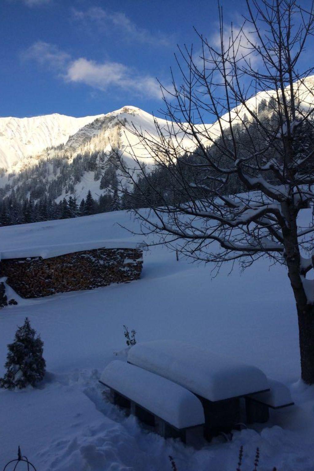 Photo 9 - Appartement de 2 chambres à Adelboden avec jardin