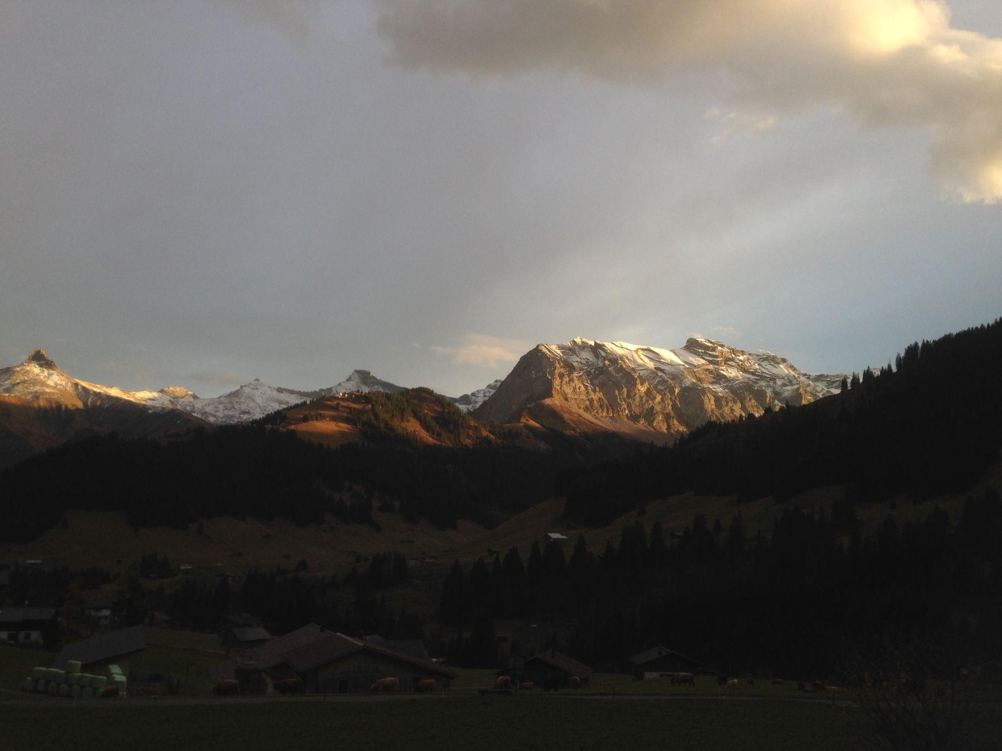 Photo 15 - Appartement de 2 chambres à Adelboden avec jardin