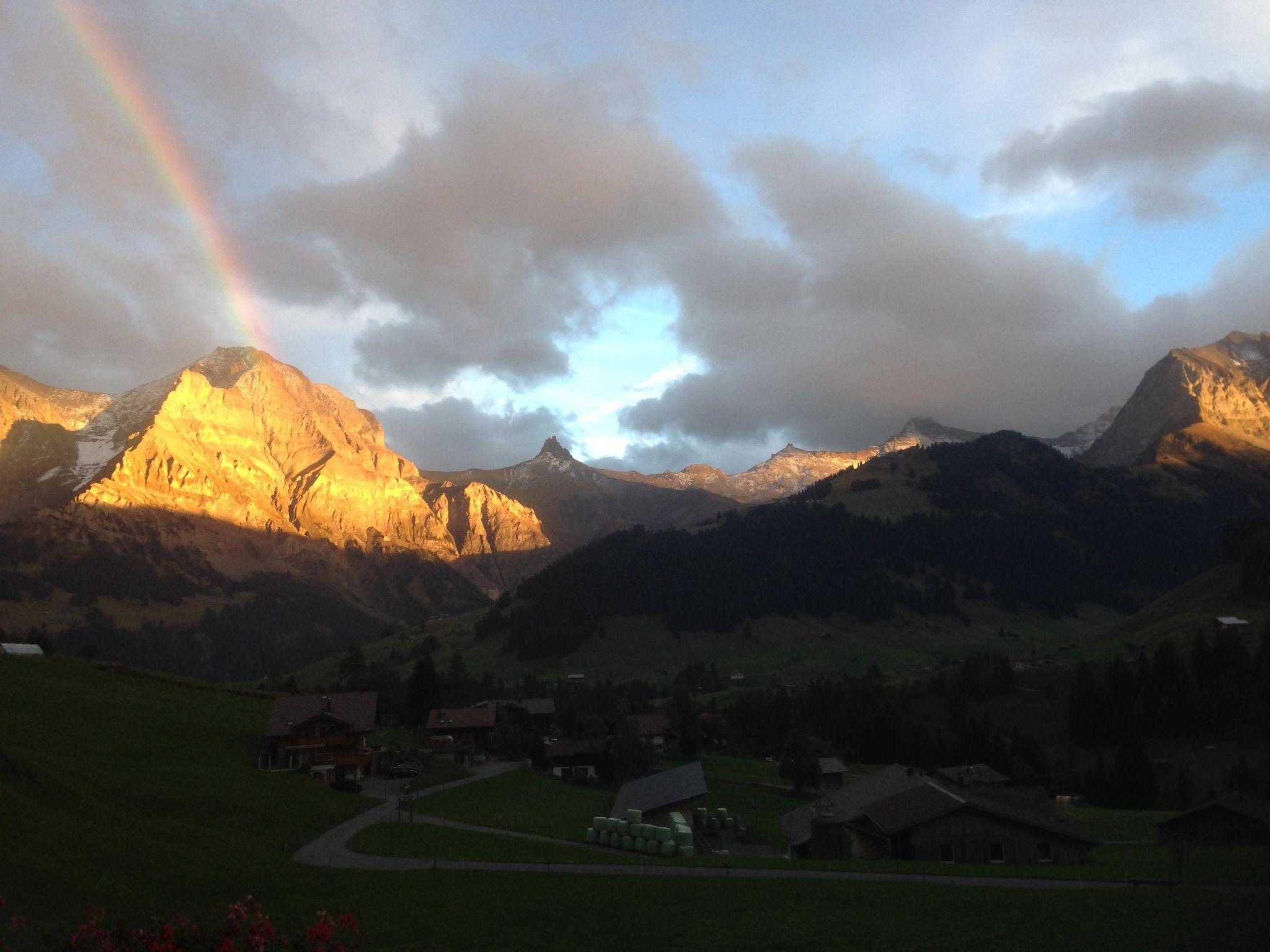 Photo 11 - Appartement de 2 chambres à Adelboden avec jardin