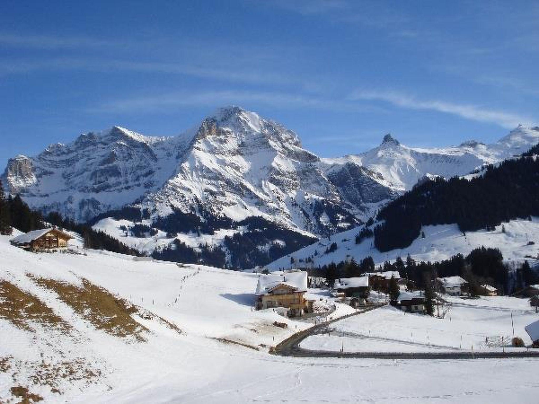 Foto 8 - Apartamento de 2 habitaciones en Adelboden con jardín