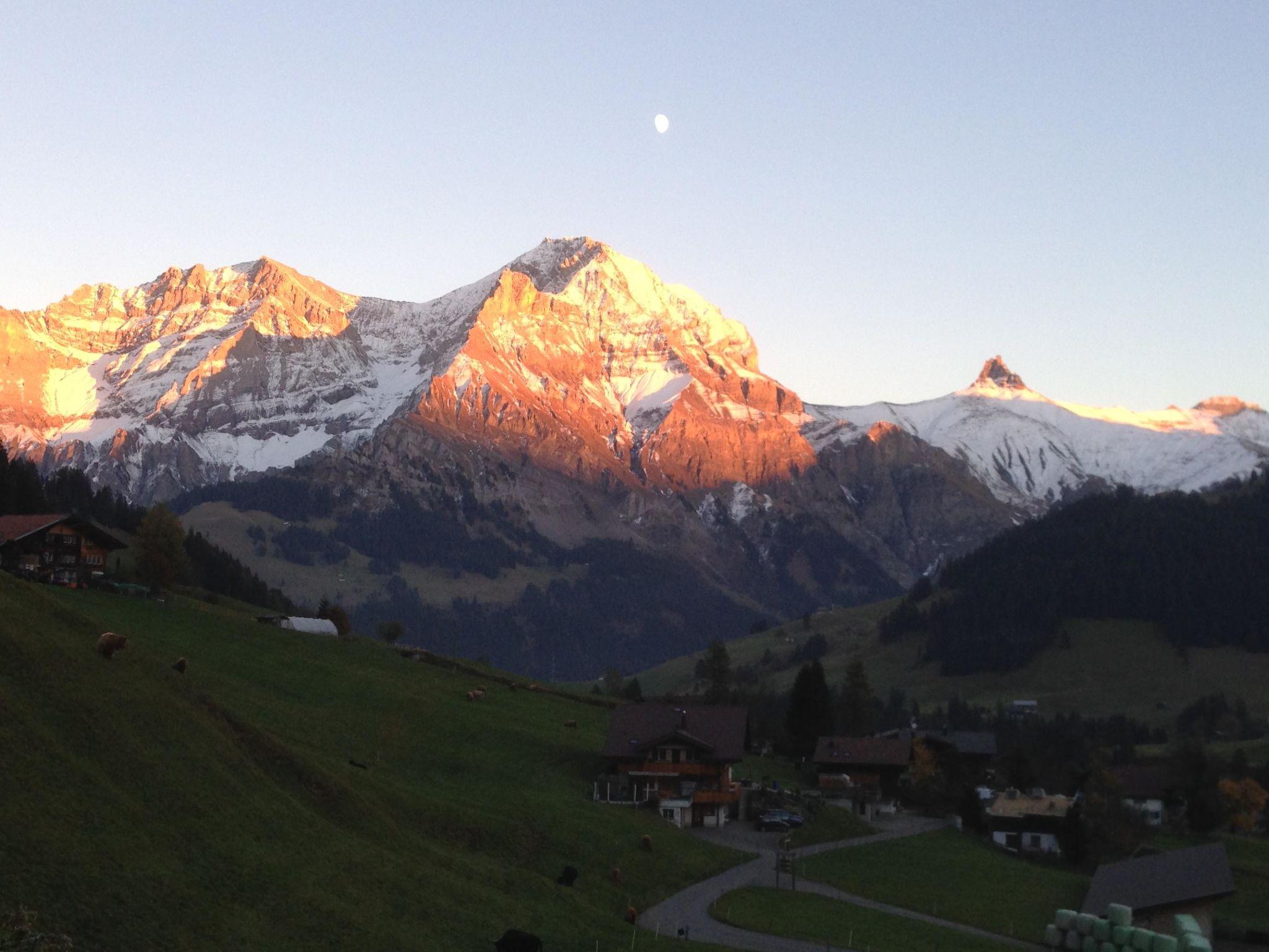 Foto 12 - Appartamento con 2 camere da letto a Adelboden con giardino