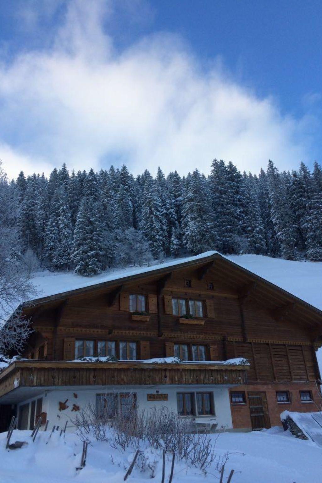 Photo 3 - Appartement de 2 chambres à Adelboden avec jardin