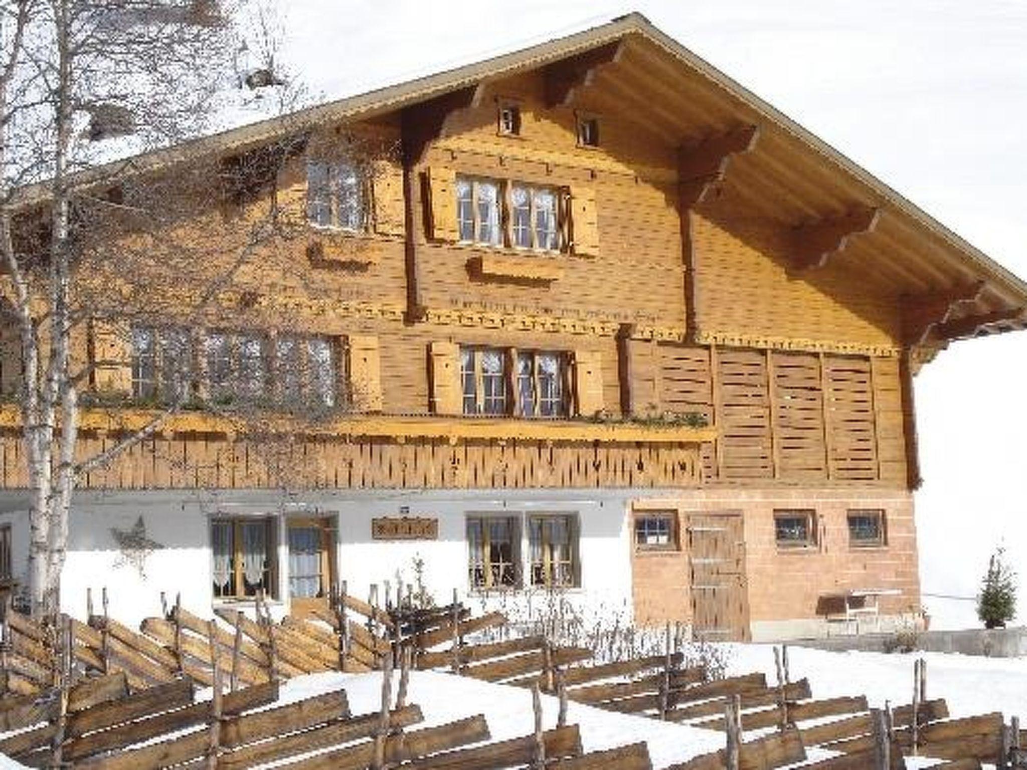 Photo 50 - Appartement de 2 chambres à Adelboden avec jardin