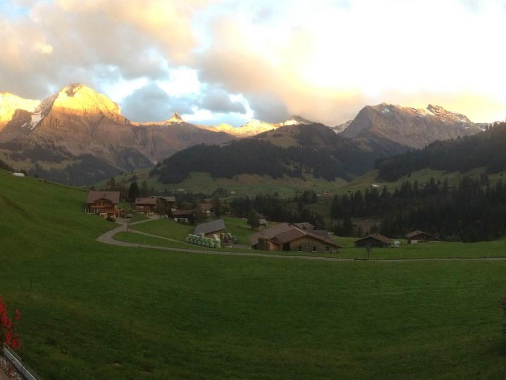 Foto 10 - Appartamento con 2 camere da letto a Adelboden con giardino