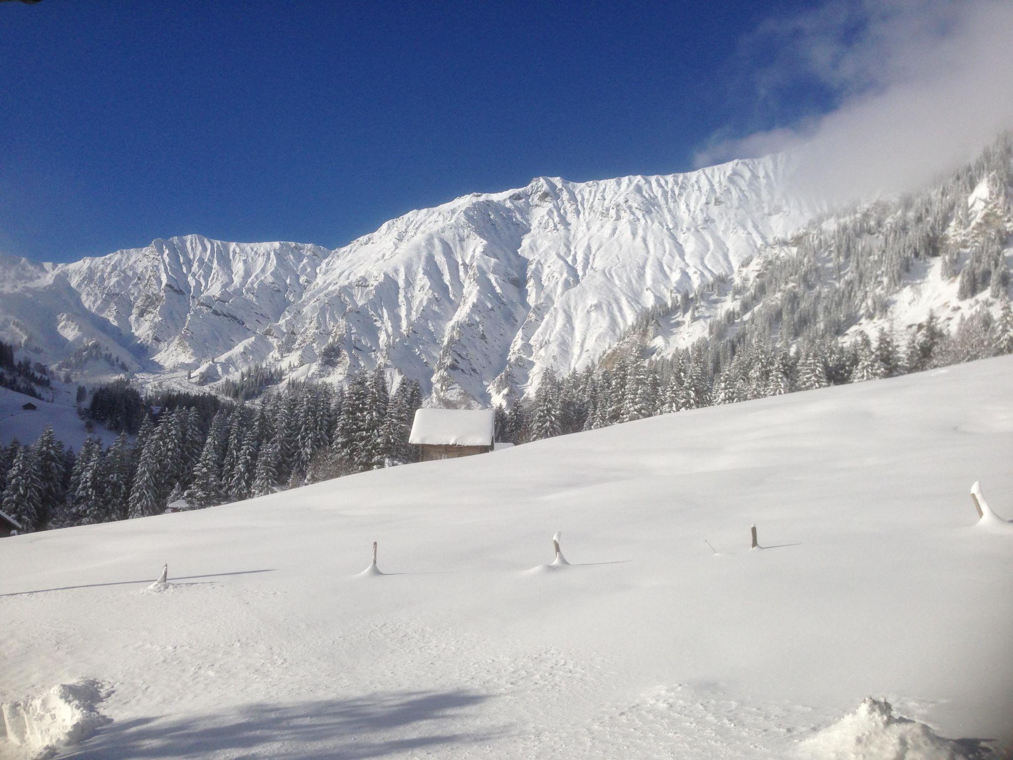 Foto 6 - Apartamento de 2 quartos em Adelboden com jardim