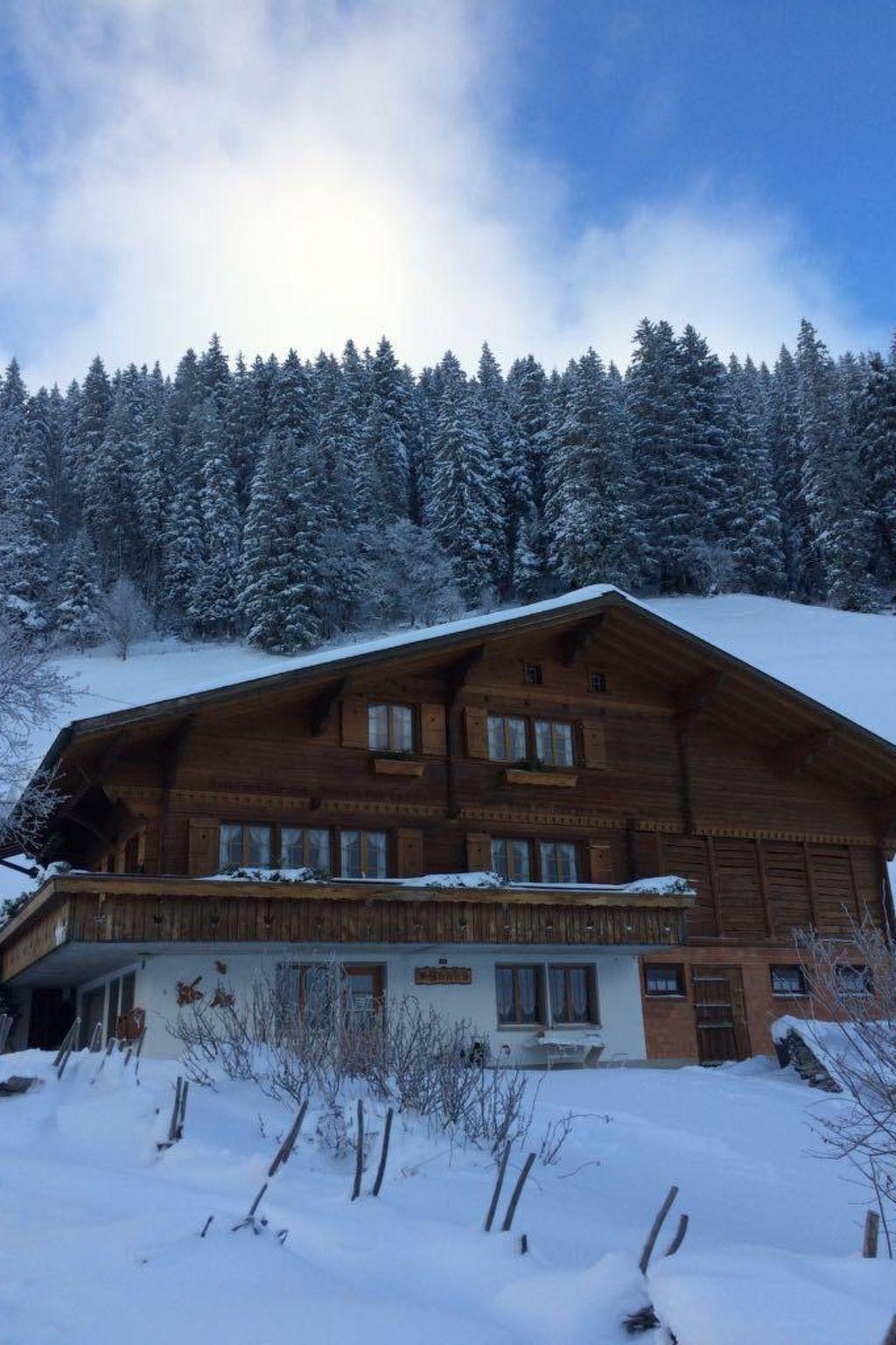 Foto 54 - Apartamento de 2 habitaciones en Adelboden con jardín