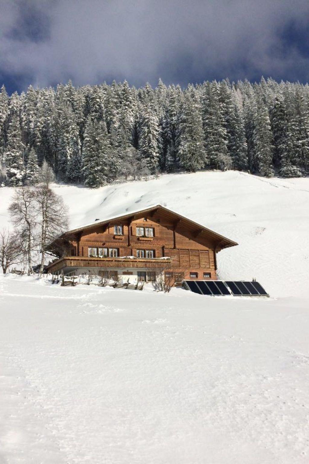 Photo 1 - Appartement de 2 chambres à Adelboden avec jardin