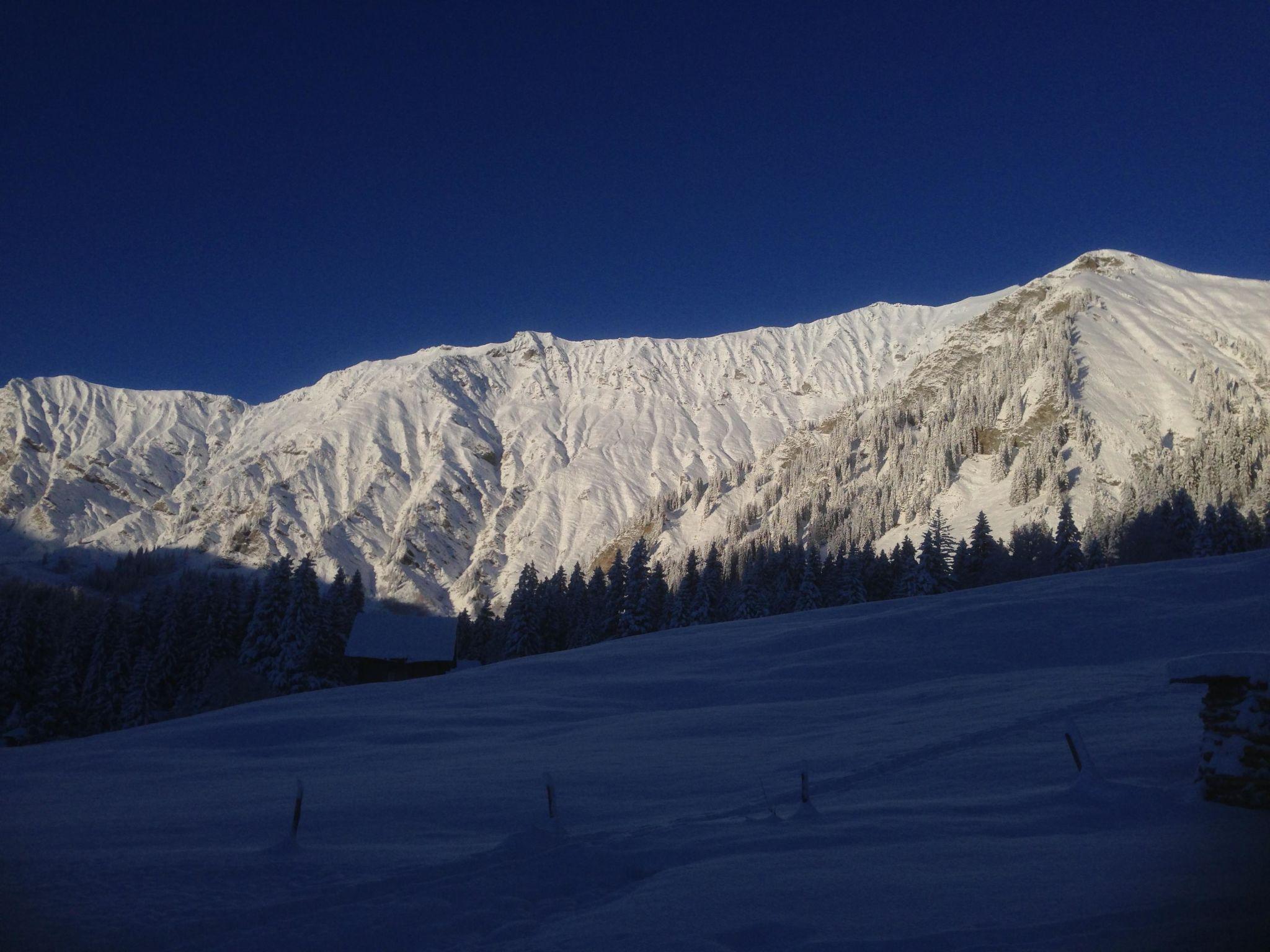 Foto 5 - Appartamento con 2 camere da letto a Adelboden con giardino