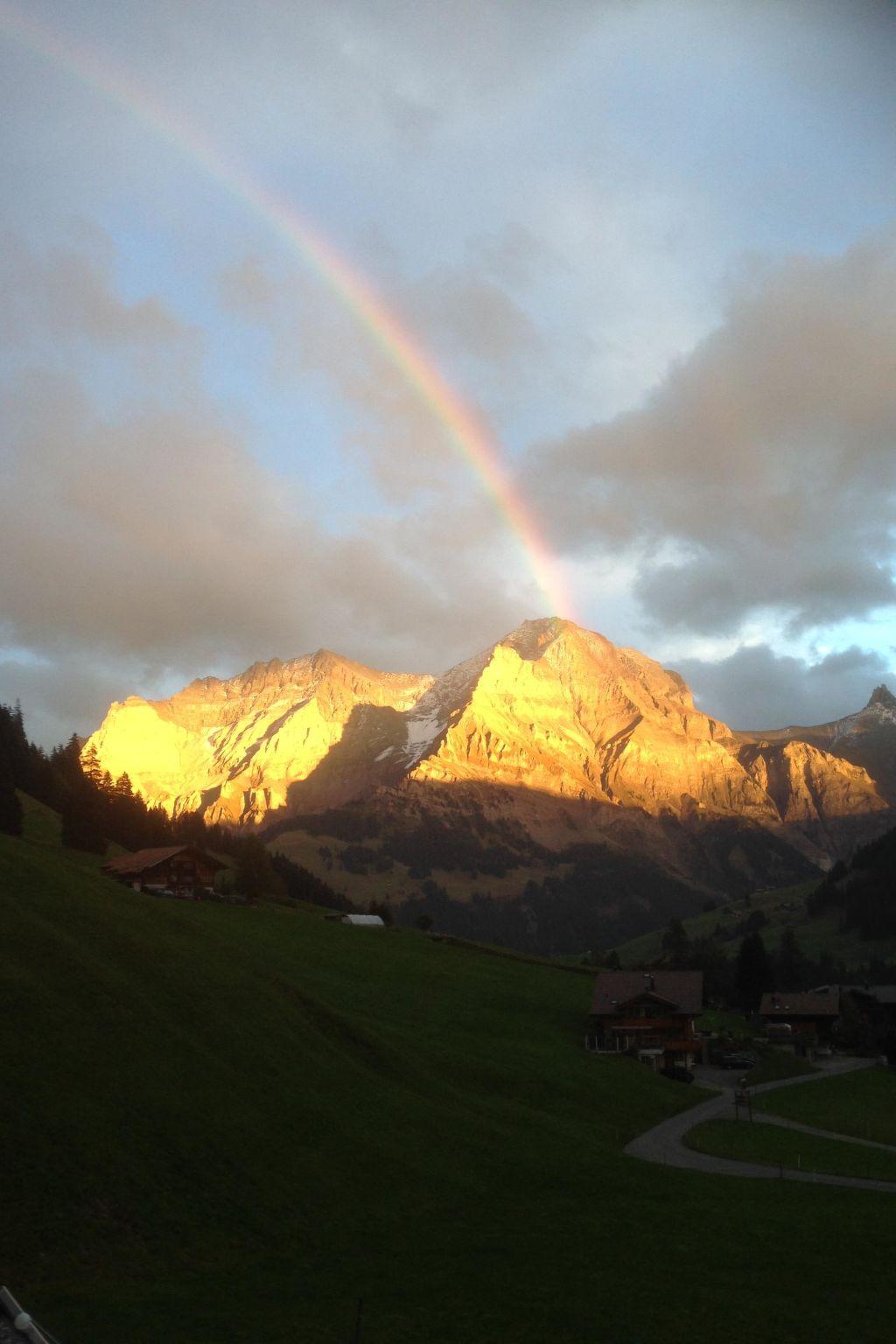 Foto 14 - Apartamento de 2 habitaciones en Adelboden con jardín