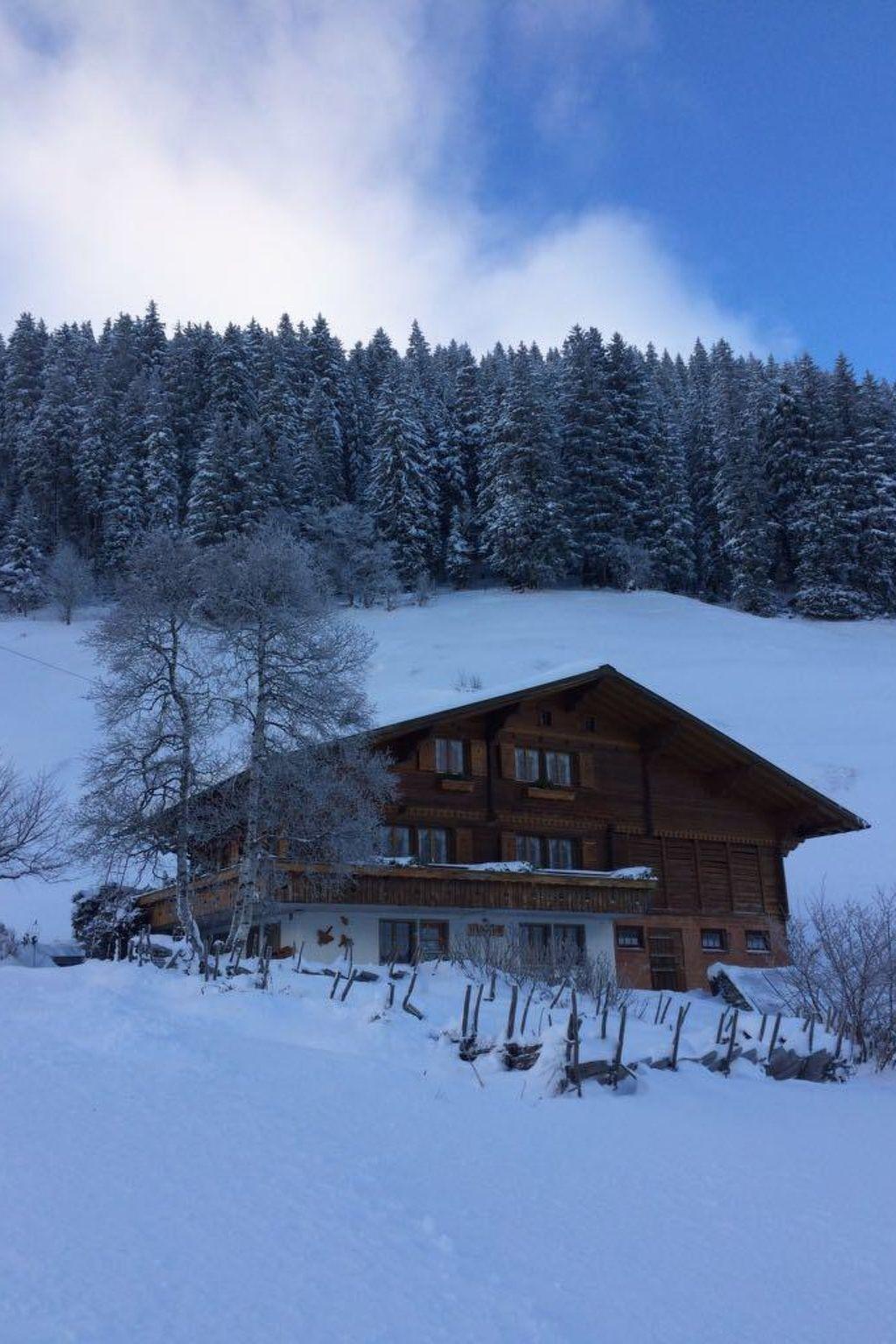 Foto 55 - Apartamento de 2 habitaciones en Adelboden con jardín