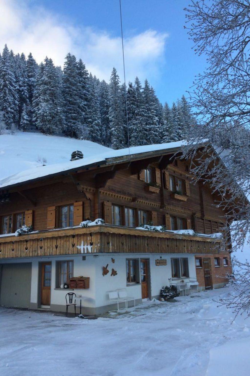 Photo 53 - Appartement de 2 chambres à Adelboden avec jardin