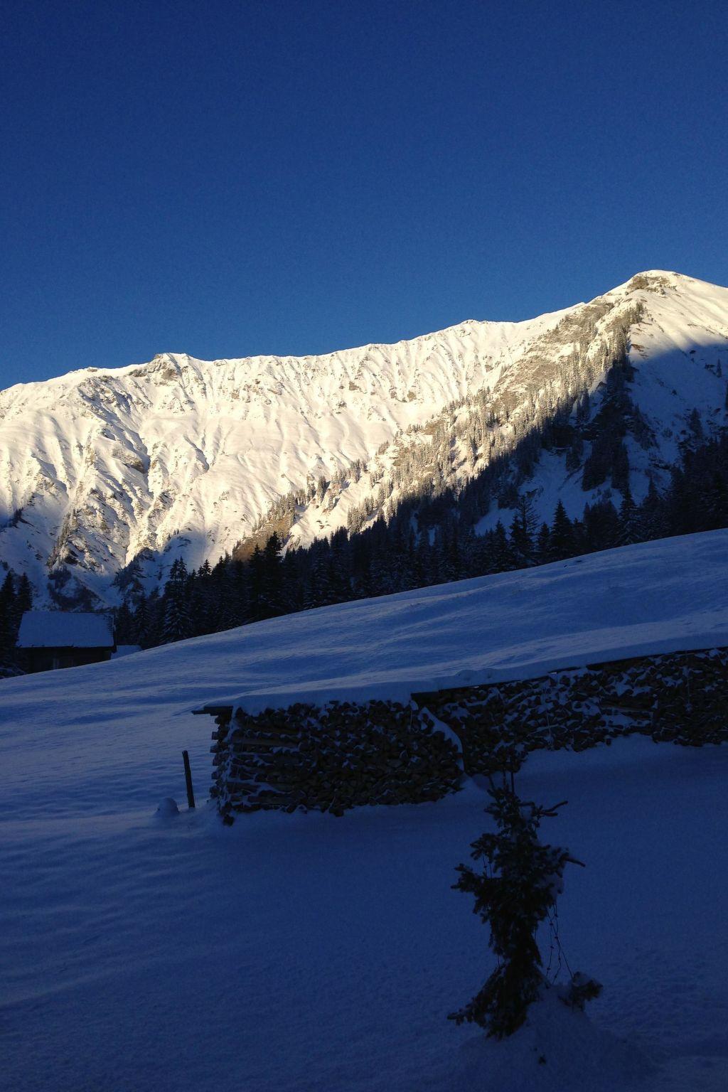 Photo 52 - Appartement de 2 chambres à Adelboden avec jardin