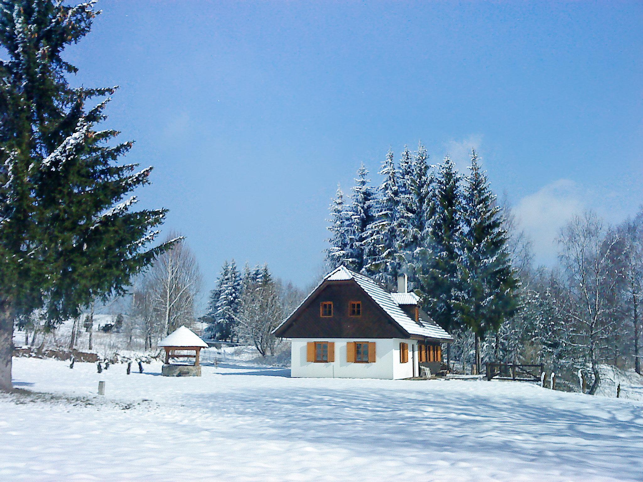 Foto 40 - Haus mit 2 Schlafzimmern in Pohorská Ves mit garten und terrasse