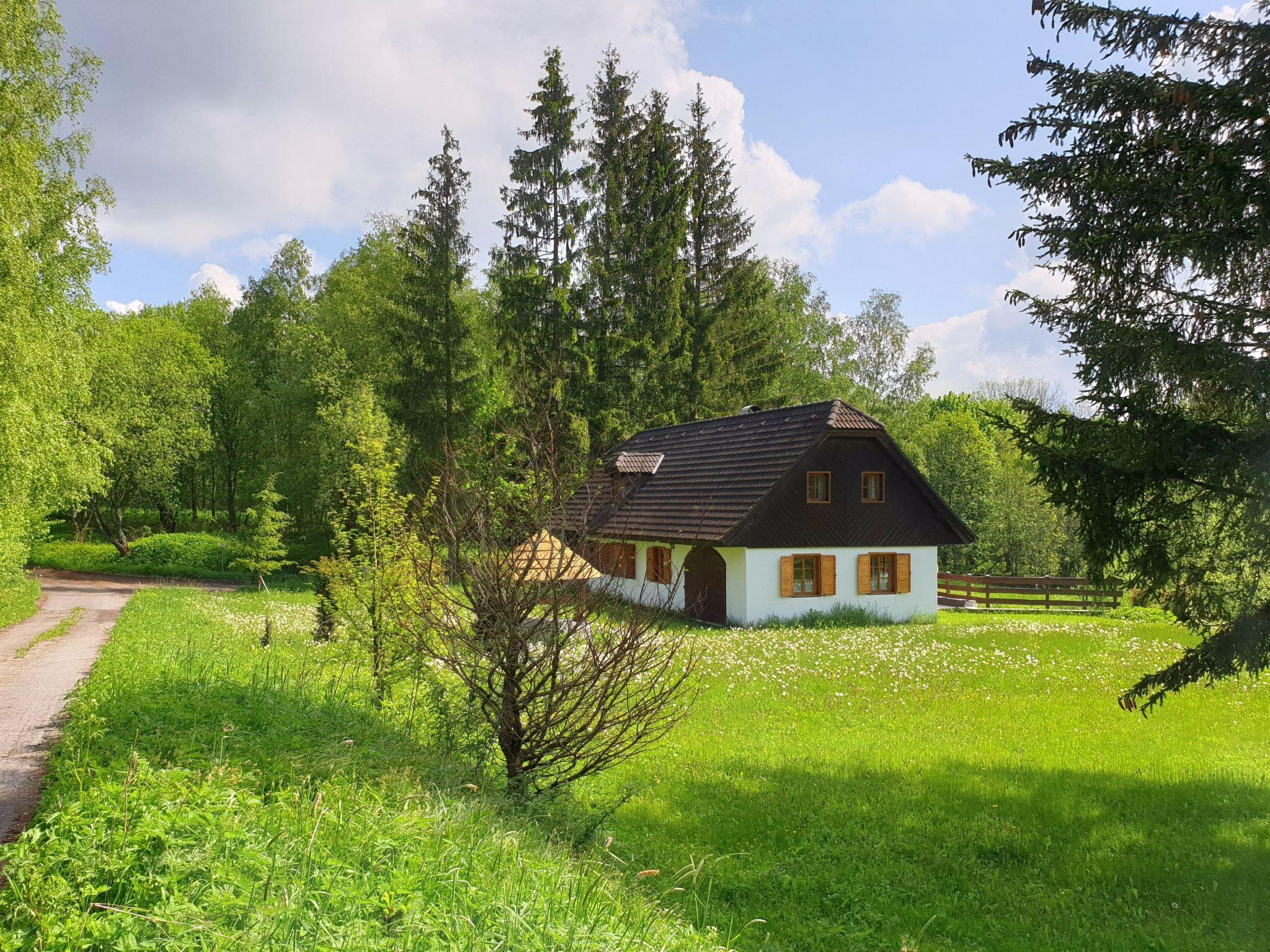 Foto 37 - Casa con 2 camere da letto a Pohorská Ves con giardino e terrazza