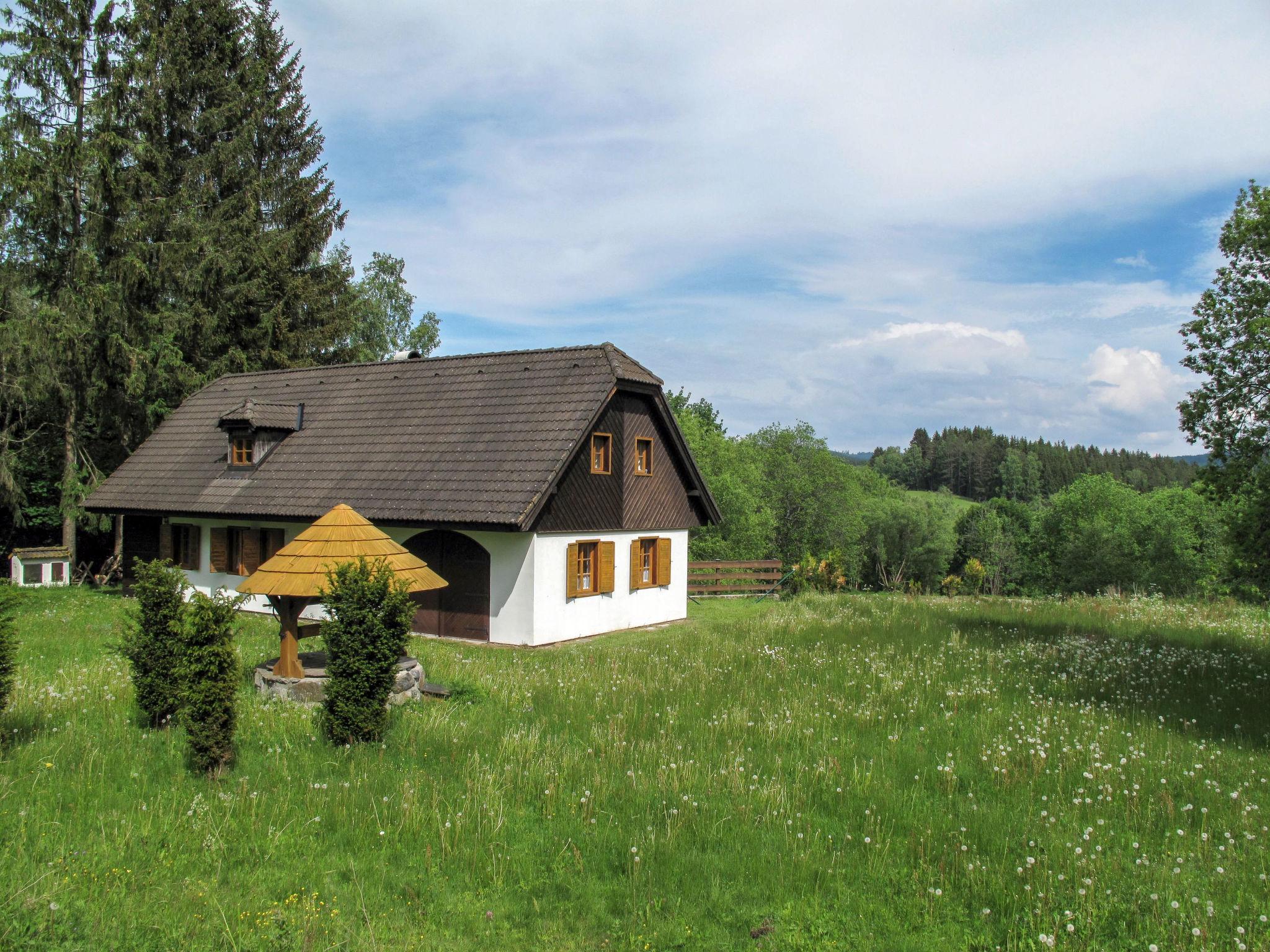 Foto 36 - Haus mit 2 Schlafzimmern in Pohorská Ves mit garten und terrasse