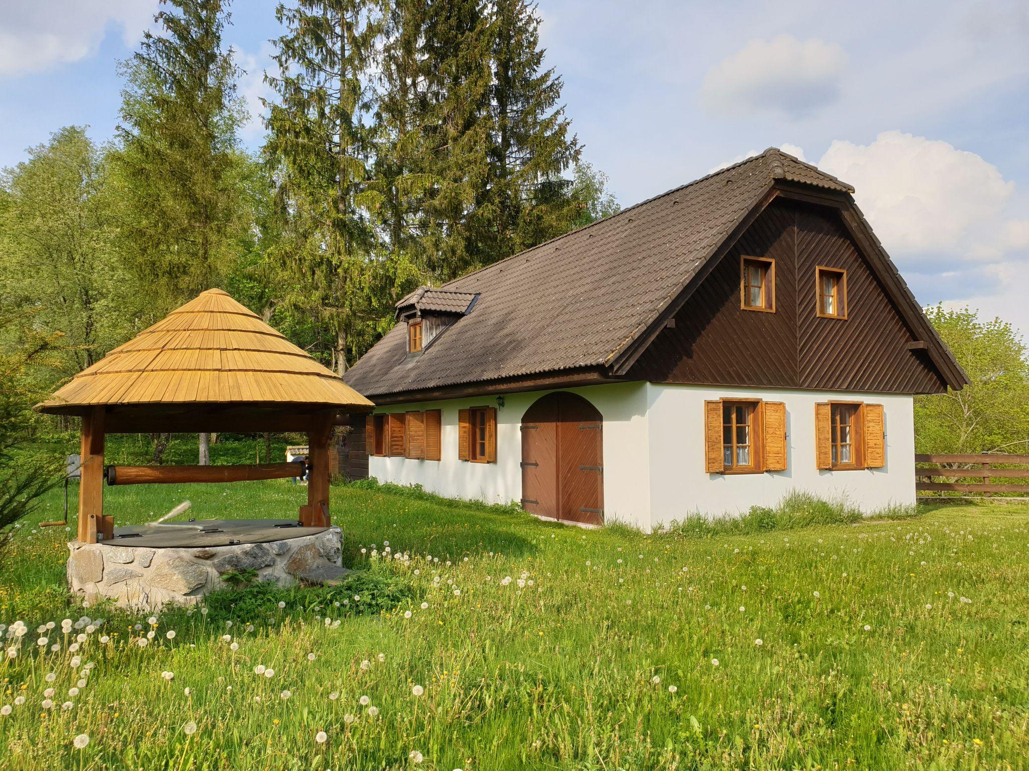 Photo 1 - Maison de 2 chambres à Pohorská Ves avec jardin et terrasse