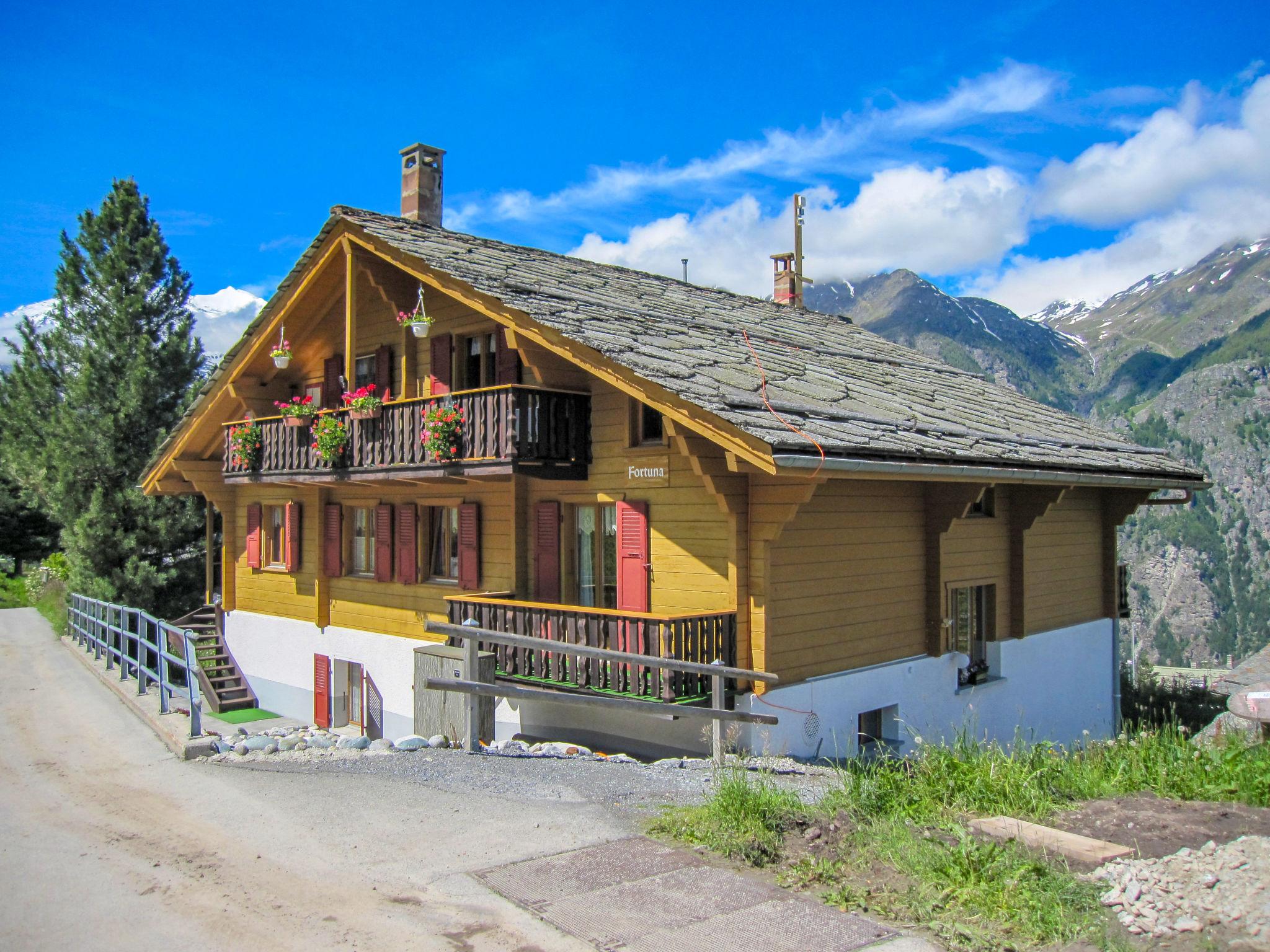 Photo 1 - Appartement de 2 chambres à Grächen avec jardin et vues sur la montagne