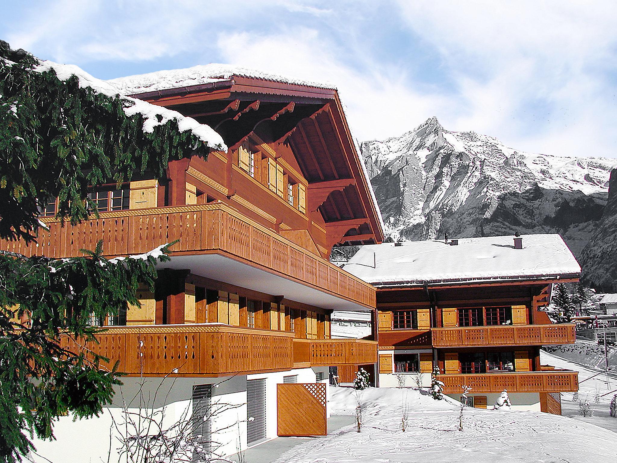 Photo 23 - 3 bedroom Apartment in Grindelwald with garden and terrace