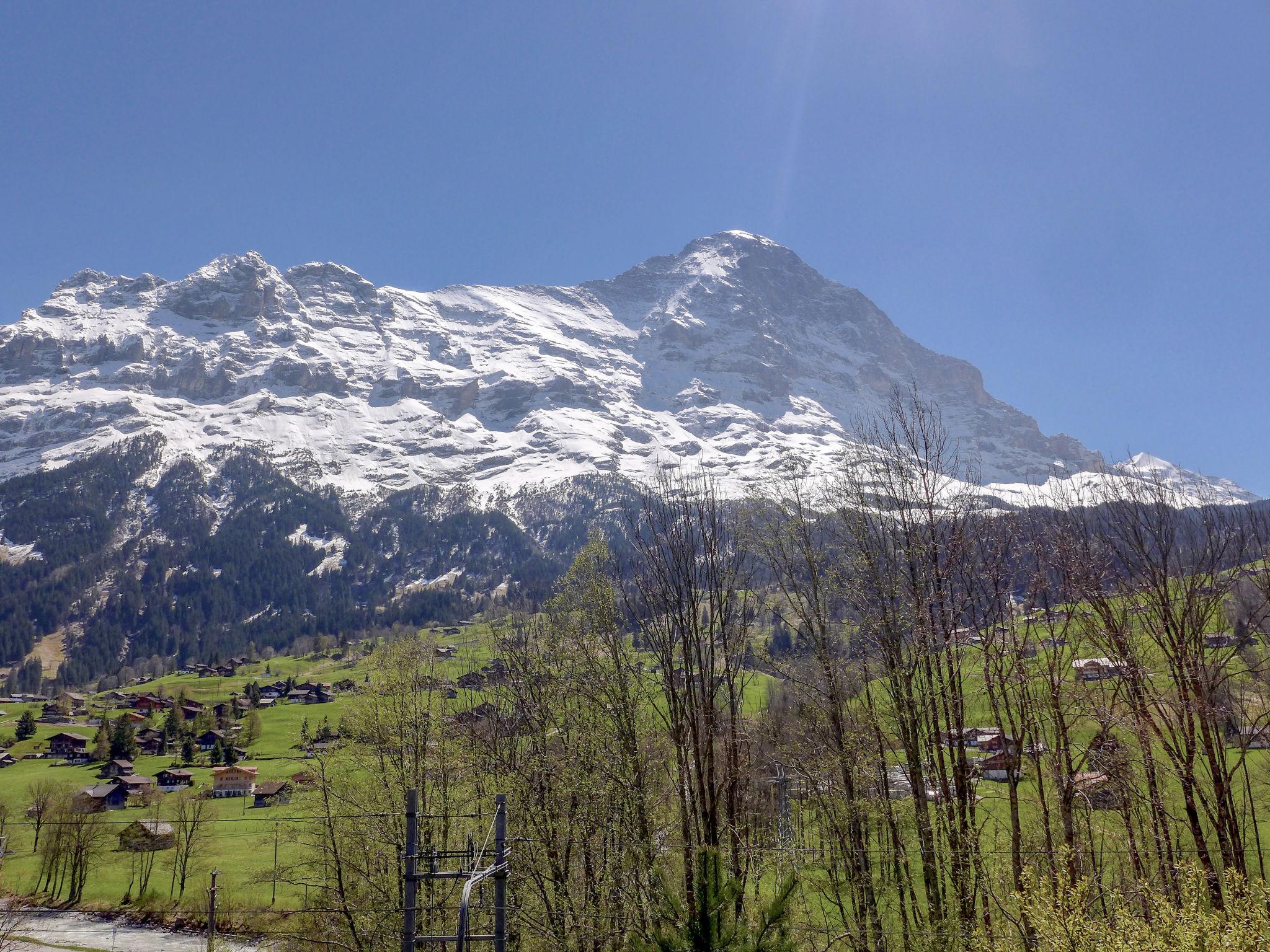 Photo 25 - Appartement de 3 chambres à Grindelwald avec vues sur la montagne