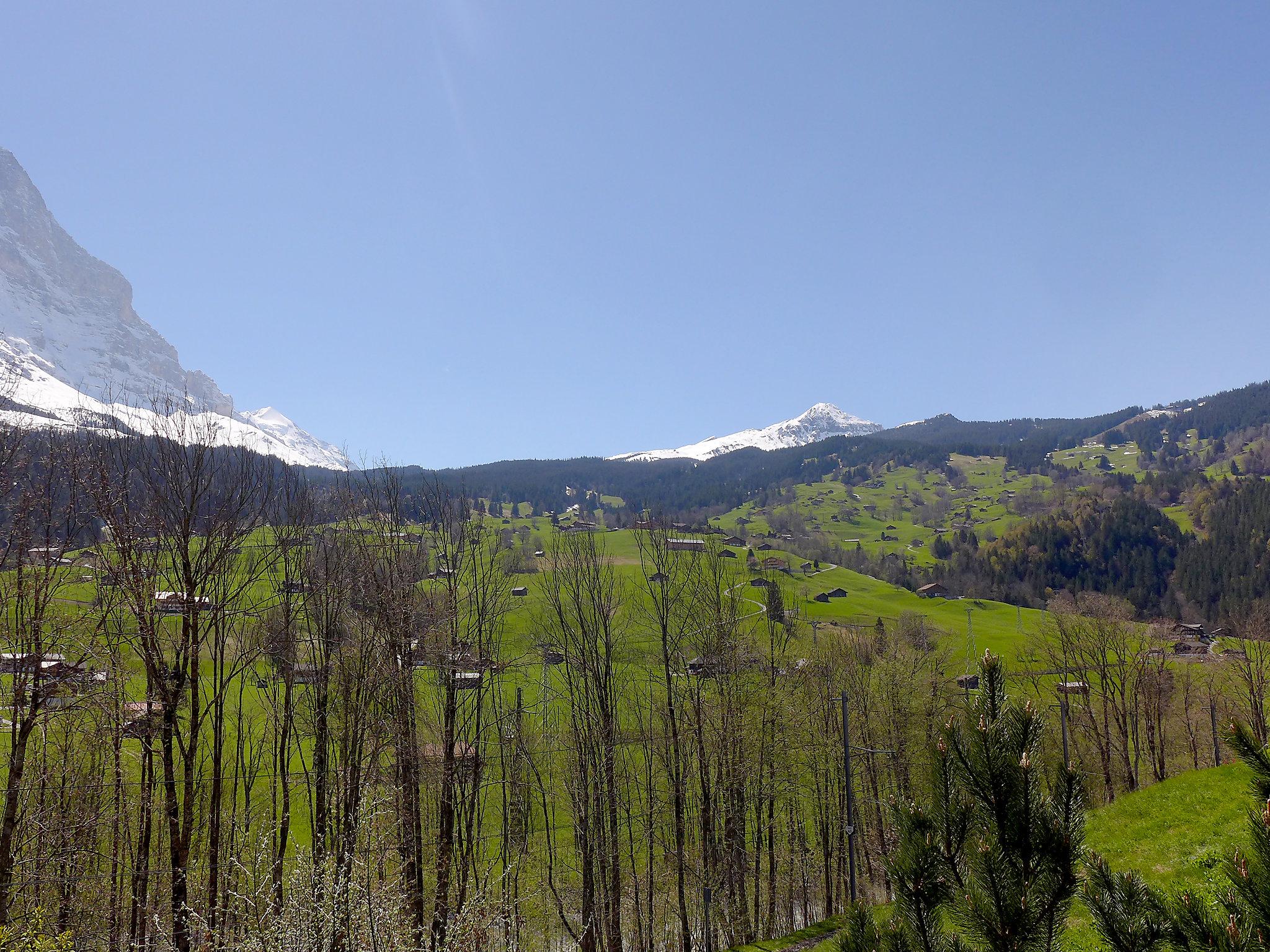 Foto 23 - Appartamento con 3 camere da letto a Grindelwald con vista sulle montagne