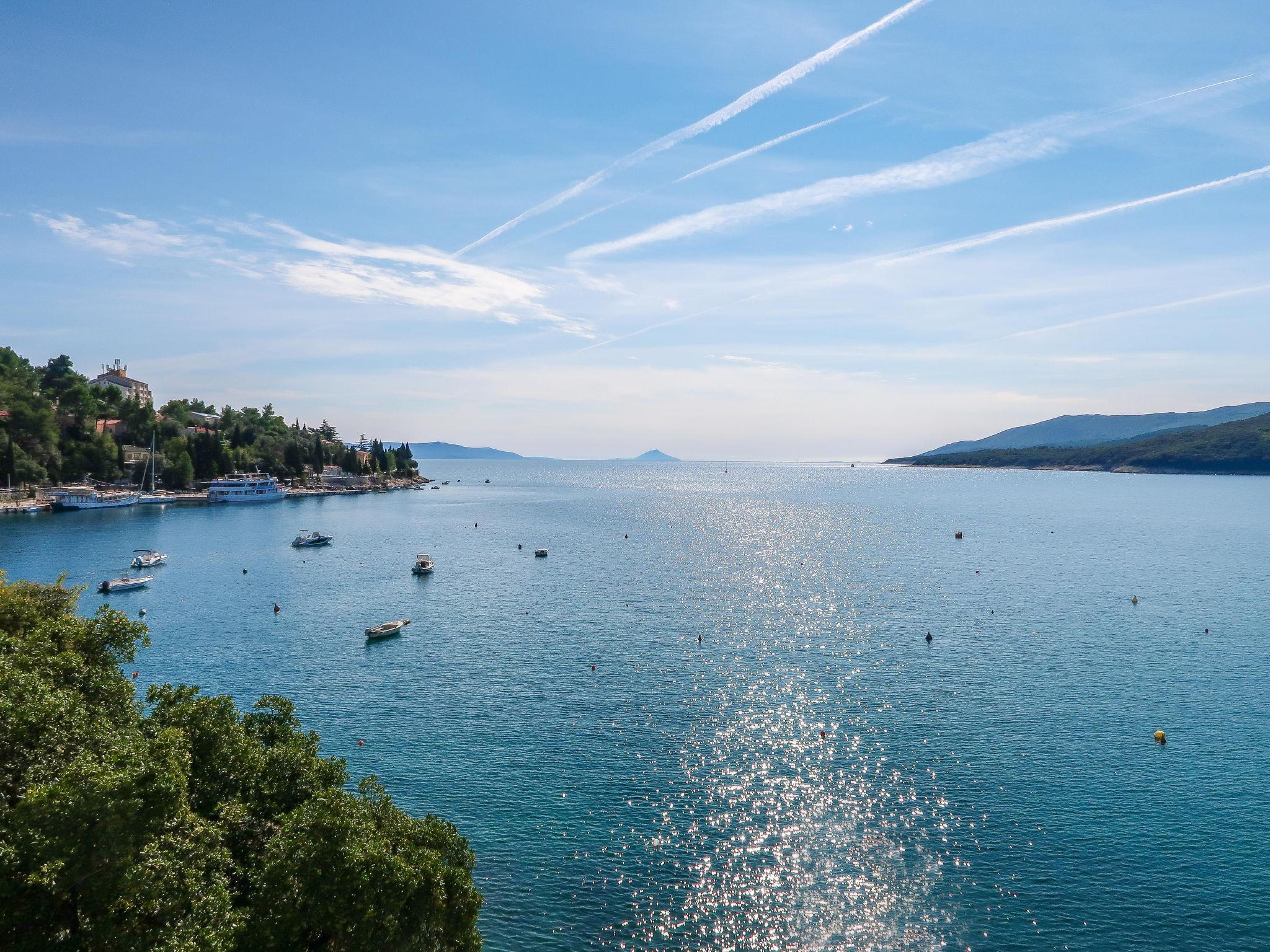 Foto 5 - Appartamento con 1 camera da letto a Labin con terrazza e vista mare