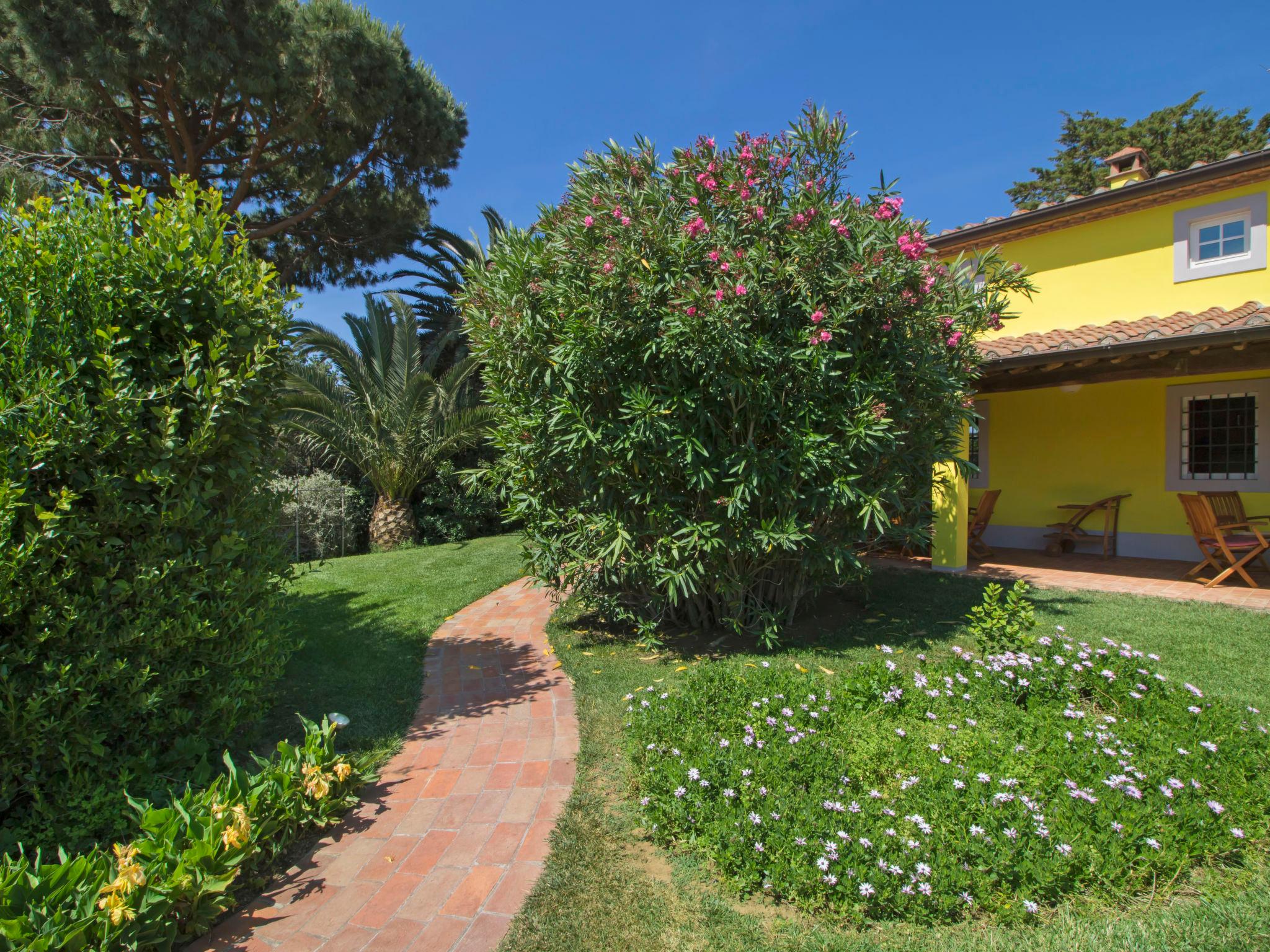 Photo 28 - 5 bedroom House in San Vincenzo with private pool and garden