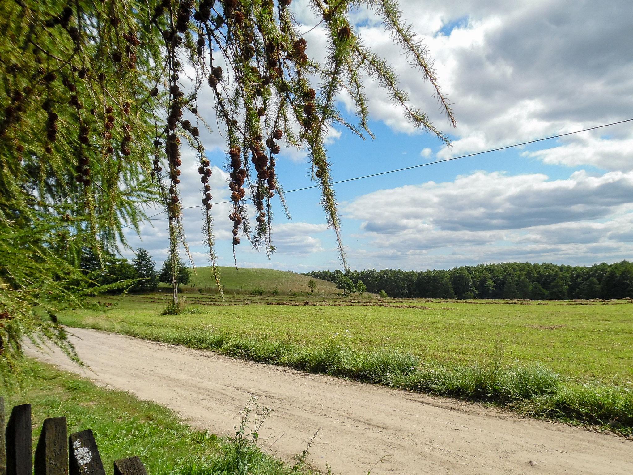 Photo 28 - Maison de 5 chambres à Mrągowo (Gmina) avec jardin et terrasse