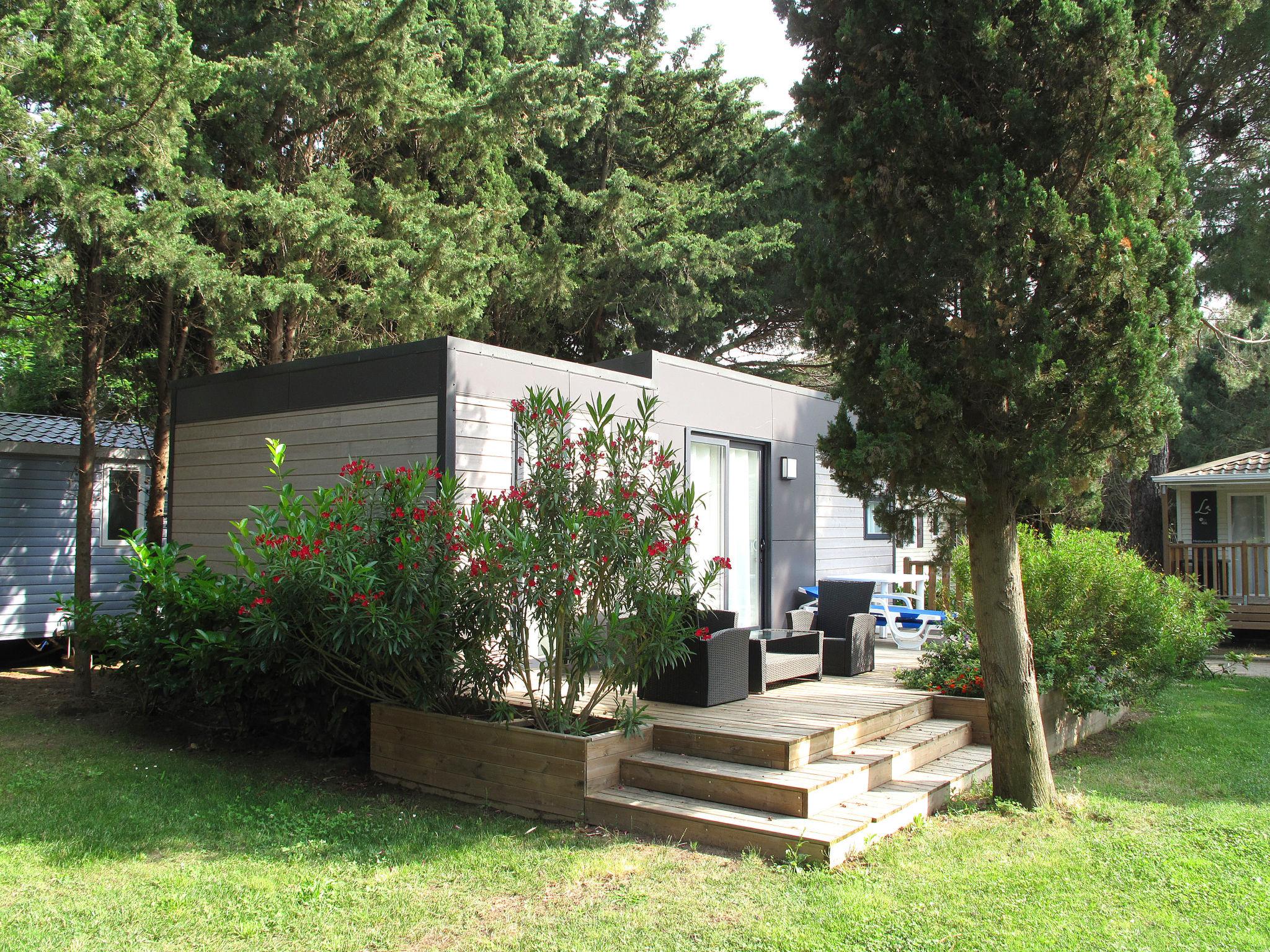 Foto 15 - Haus mit 2 Schlafzimmern in Argelès-sur-Mer mit schwimmbad und terrasse