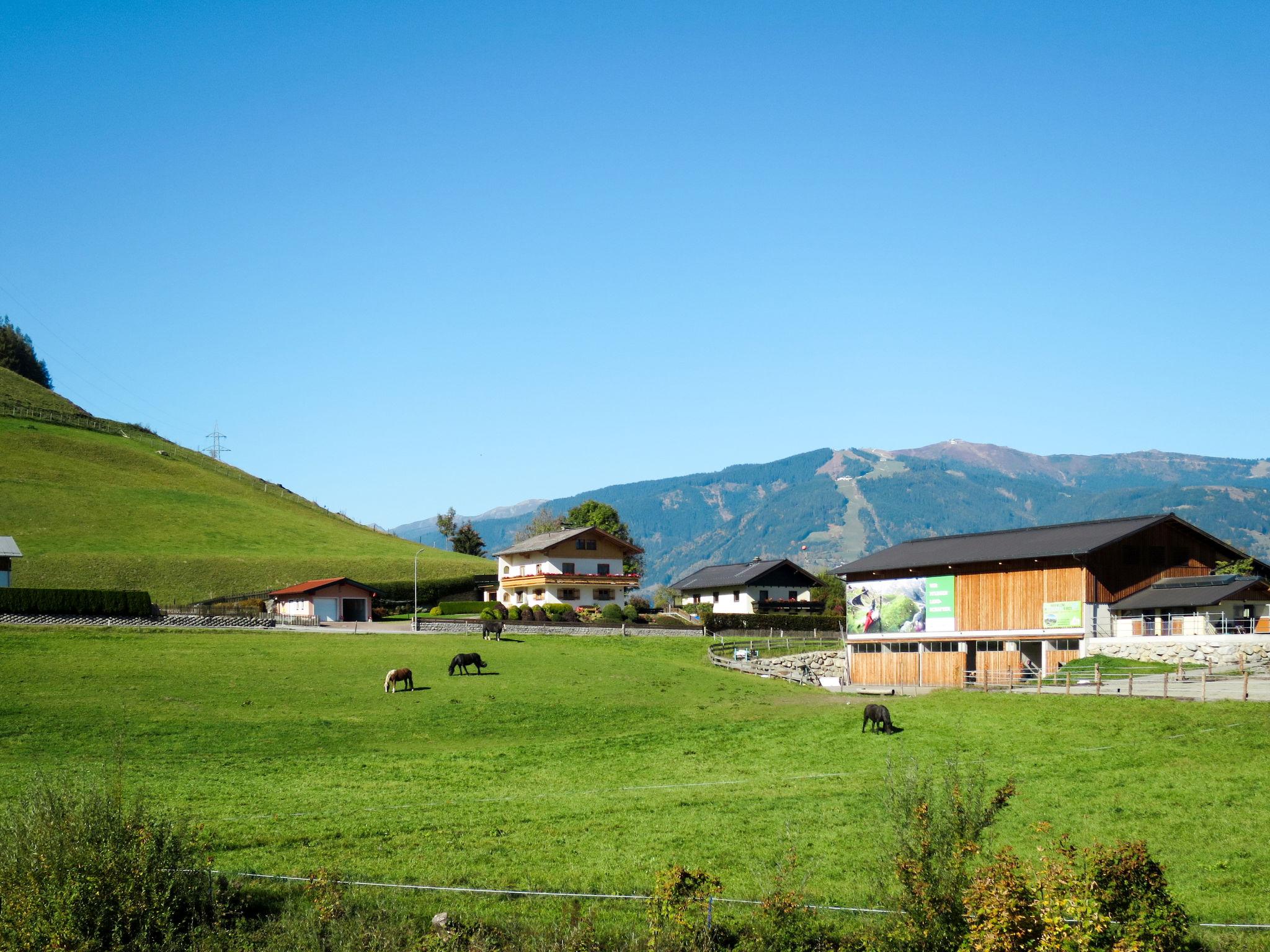 Foto 16 - Appartamento con 3 camere da letto a Bruck an der Großglocknerstraße con giardino e vista sulle montagne