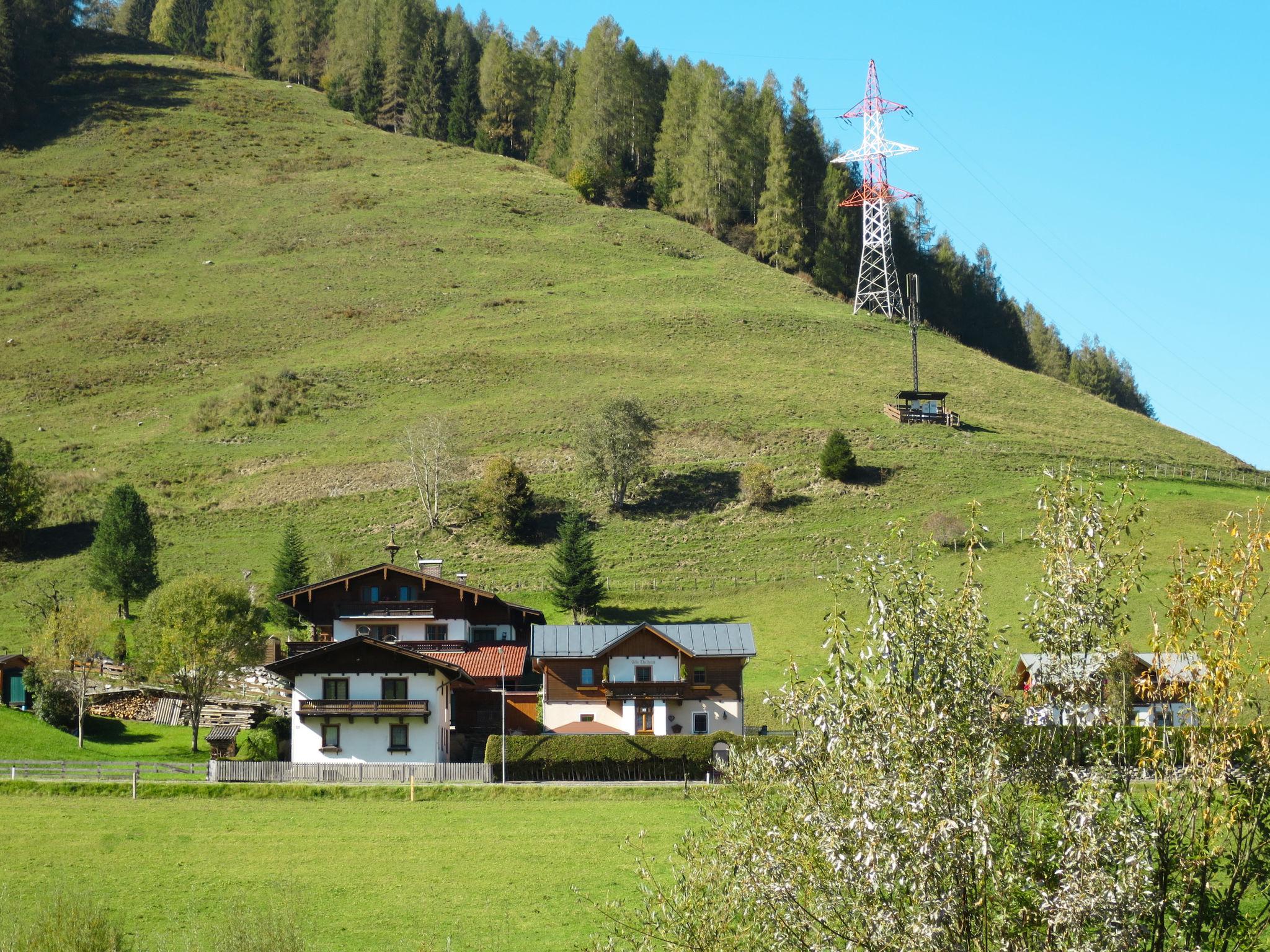 Foto 15 - Appartamento con 3 camere da letto a Bruck an der Großglocknerstraße con giardino e vista sulle montagne