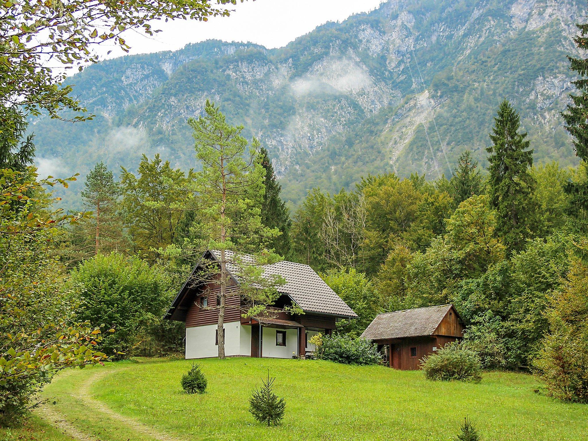 Foto 14 - Apartamento de 1 habitación en Bohinj con jardín