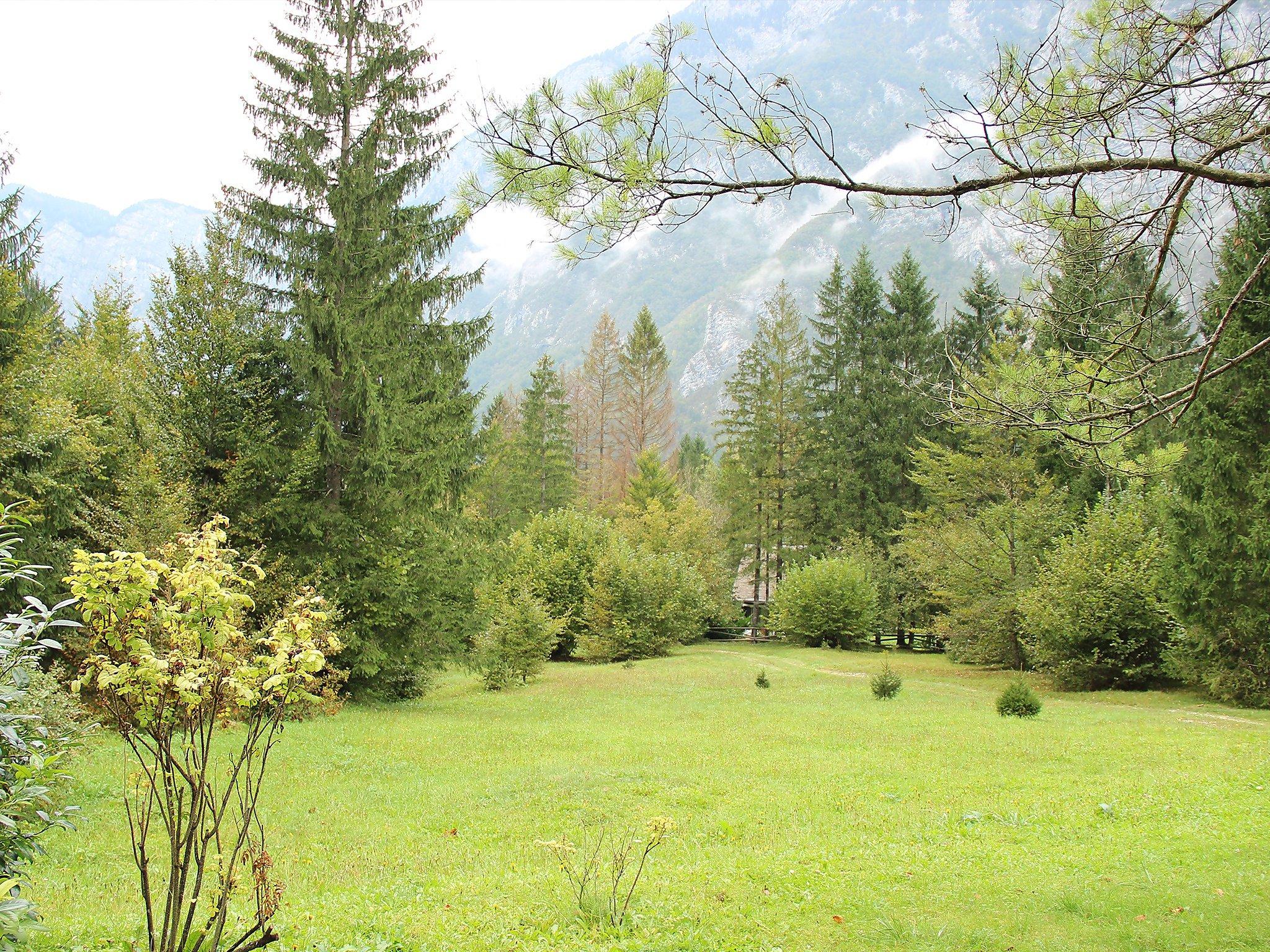 Foto 10 - Apartamento de 1 habitación en Bohinj con jardín