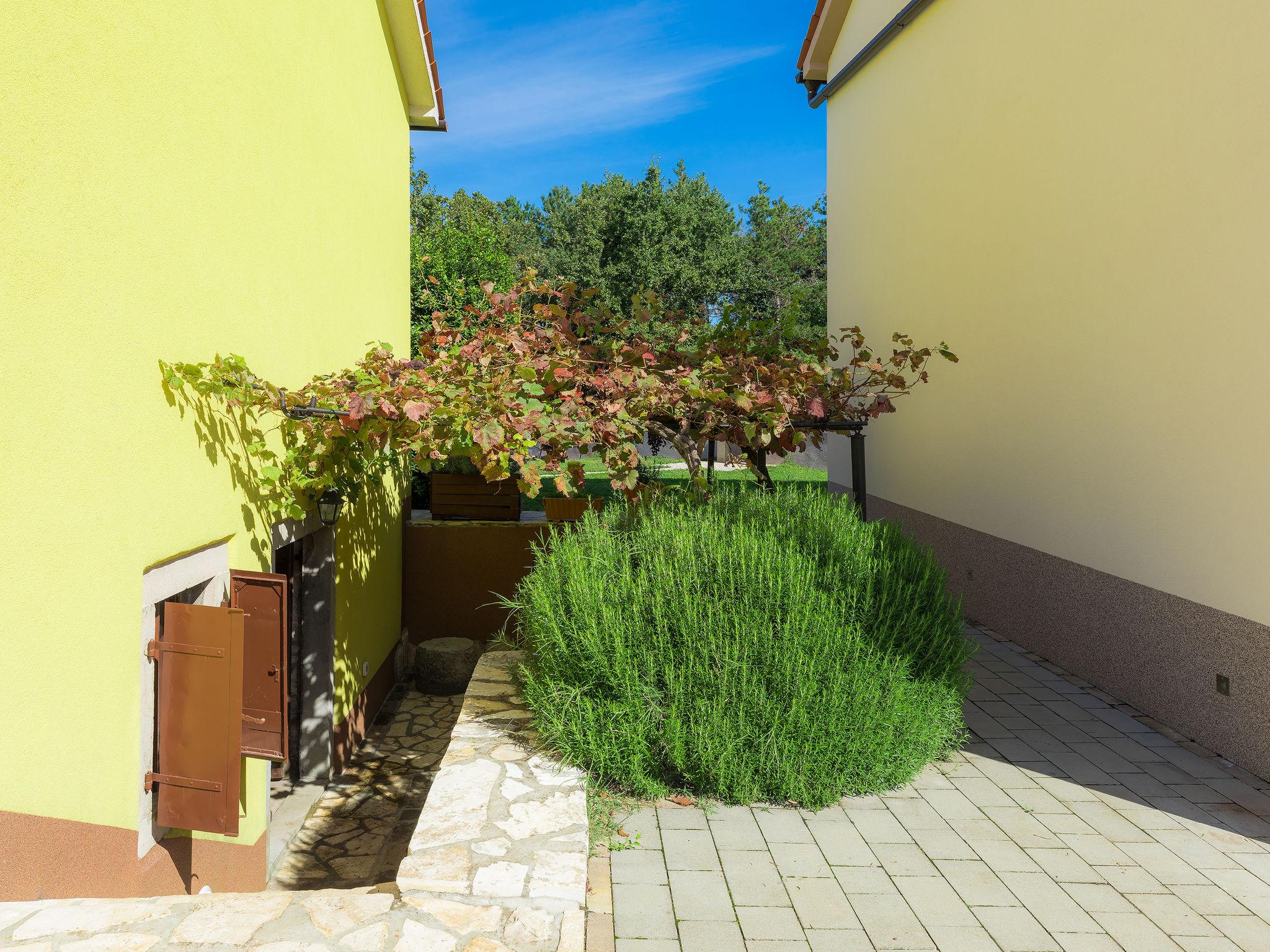 Photo 29 - Maison de 4 chambres à Sveta Nedelja avec piscine privée et vues à la mer