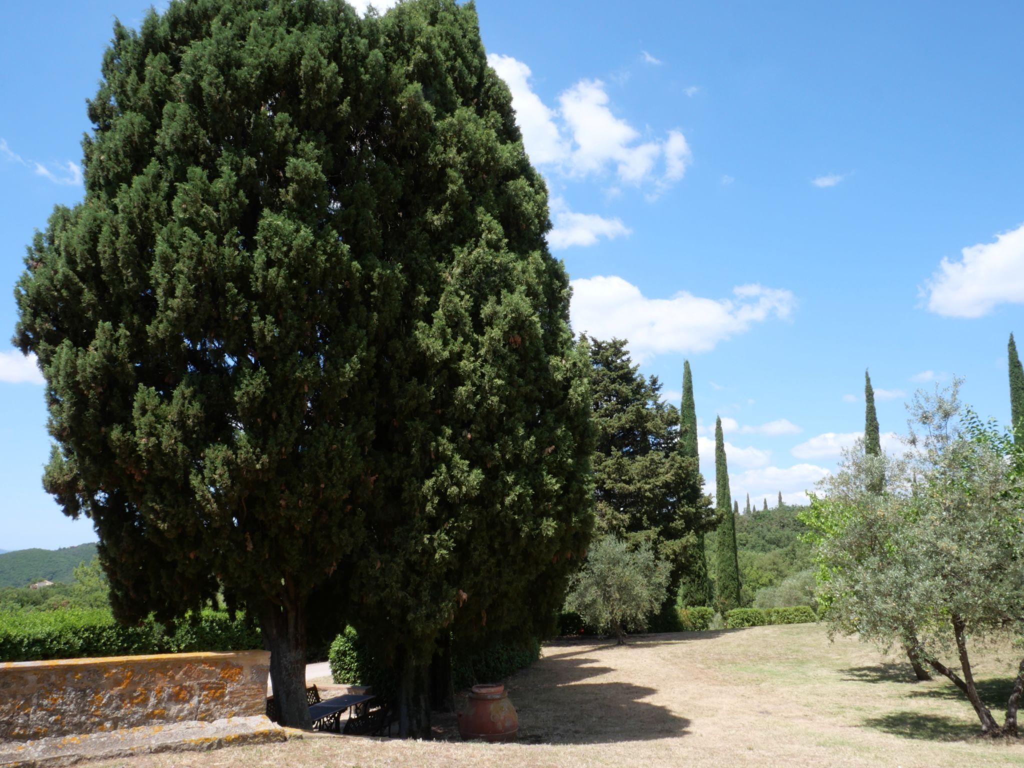 Photo 34 - 4 bedroom Apartment in Roccastrada with swimming pool and garden