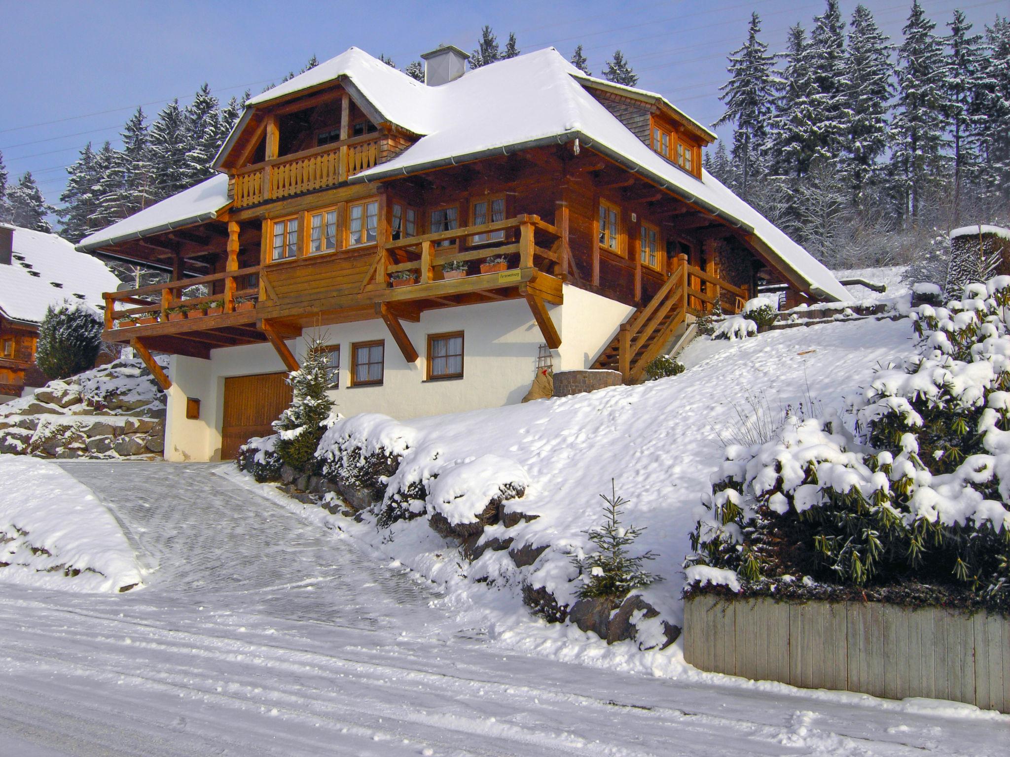 Photo 16 - Appartement de 1 chambre à Titisee-Neustadt avec jardin et vues sur la montagne