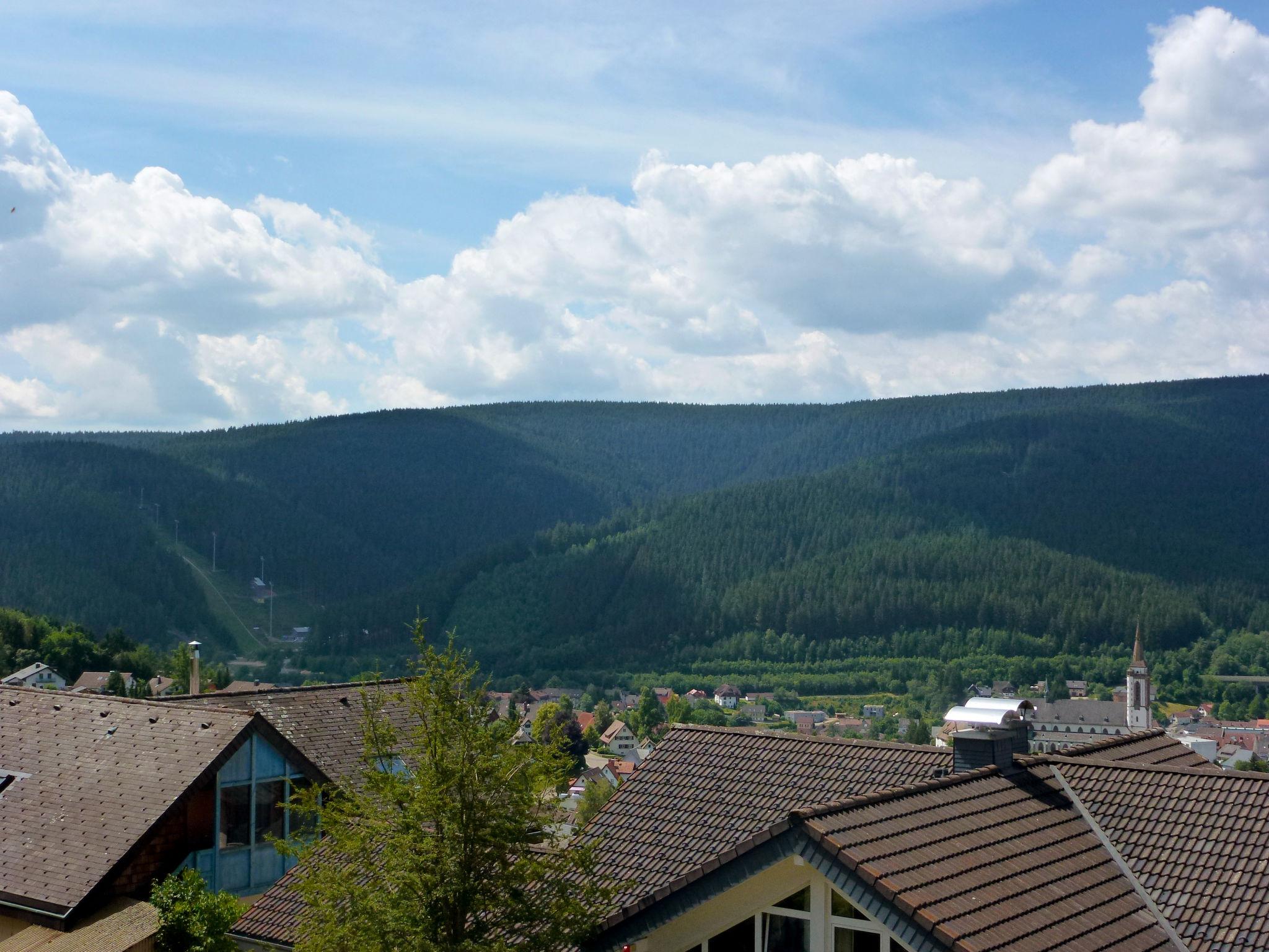 Photo 15 - Appartement de 1 chambre à Titisee-Neustadt avec jardin