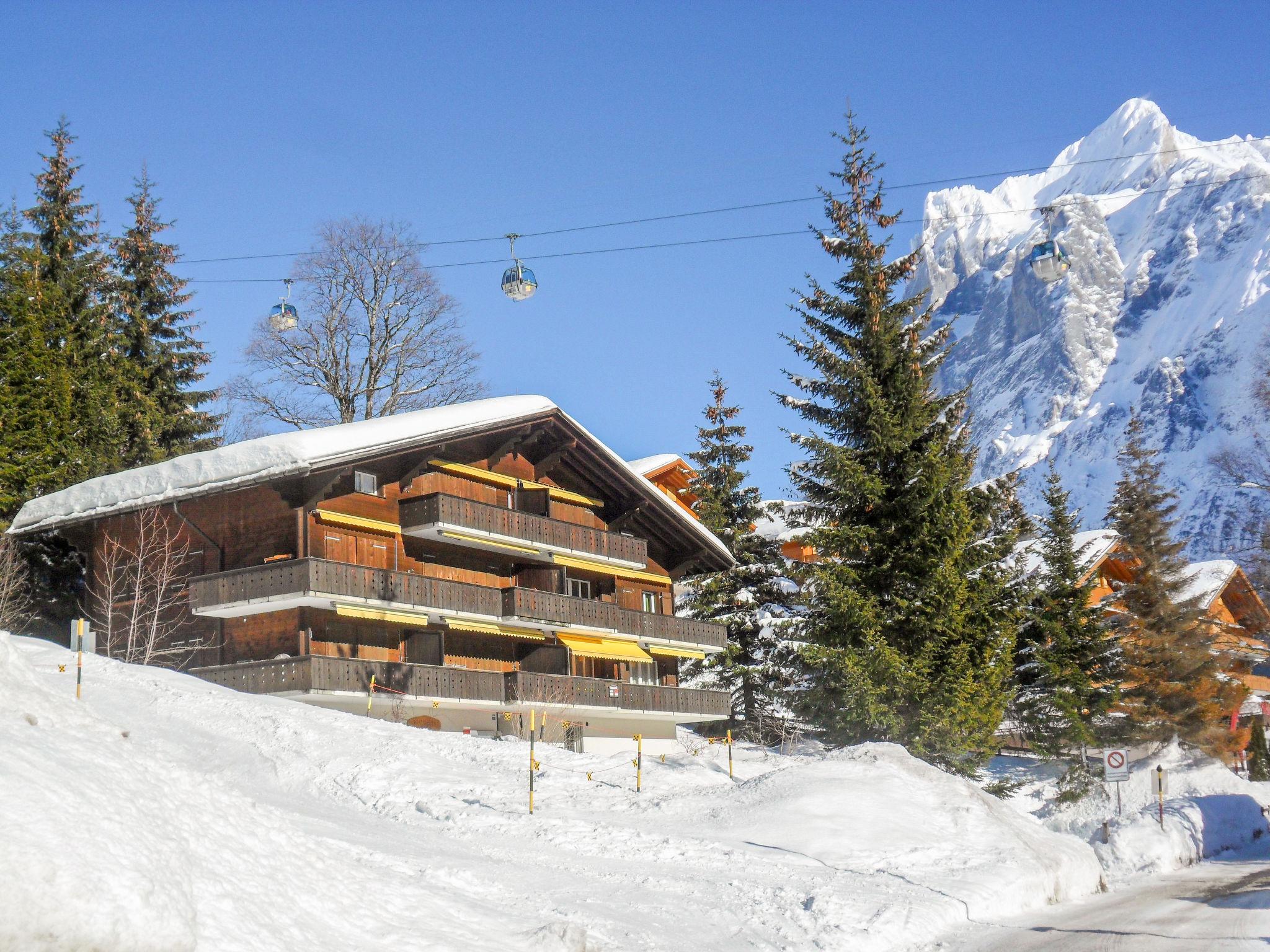 Foto 30 - Apartamento de 3 quartos em Grindelwald com vista para a montanha