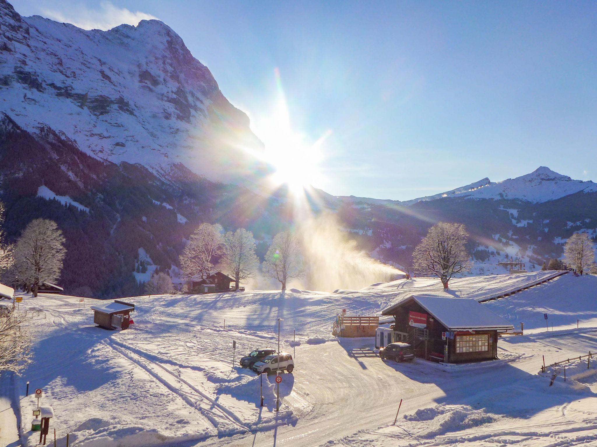 Foto 18 - Appartamento con 2 camere da letto a Grindelwald con vista sulle montagne