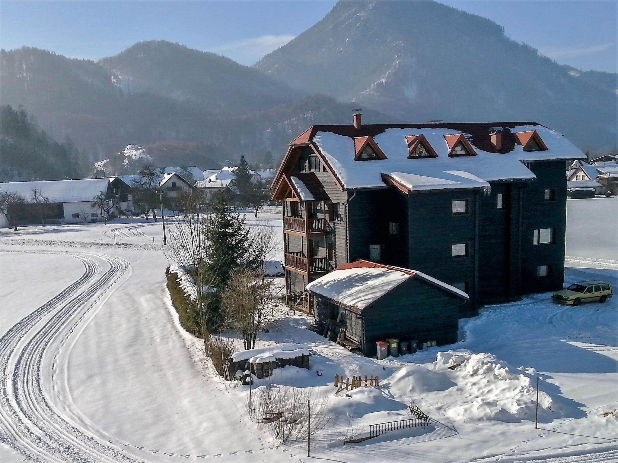 Photo 47 - 5 bedroom Apartment in Grünau im Almtal with mountain view