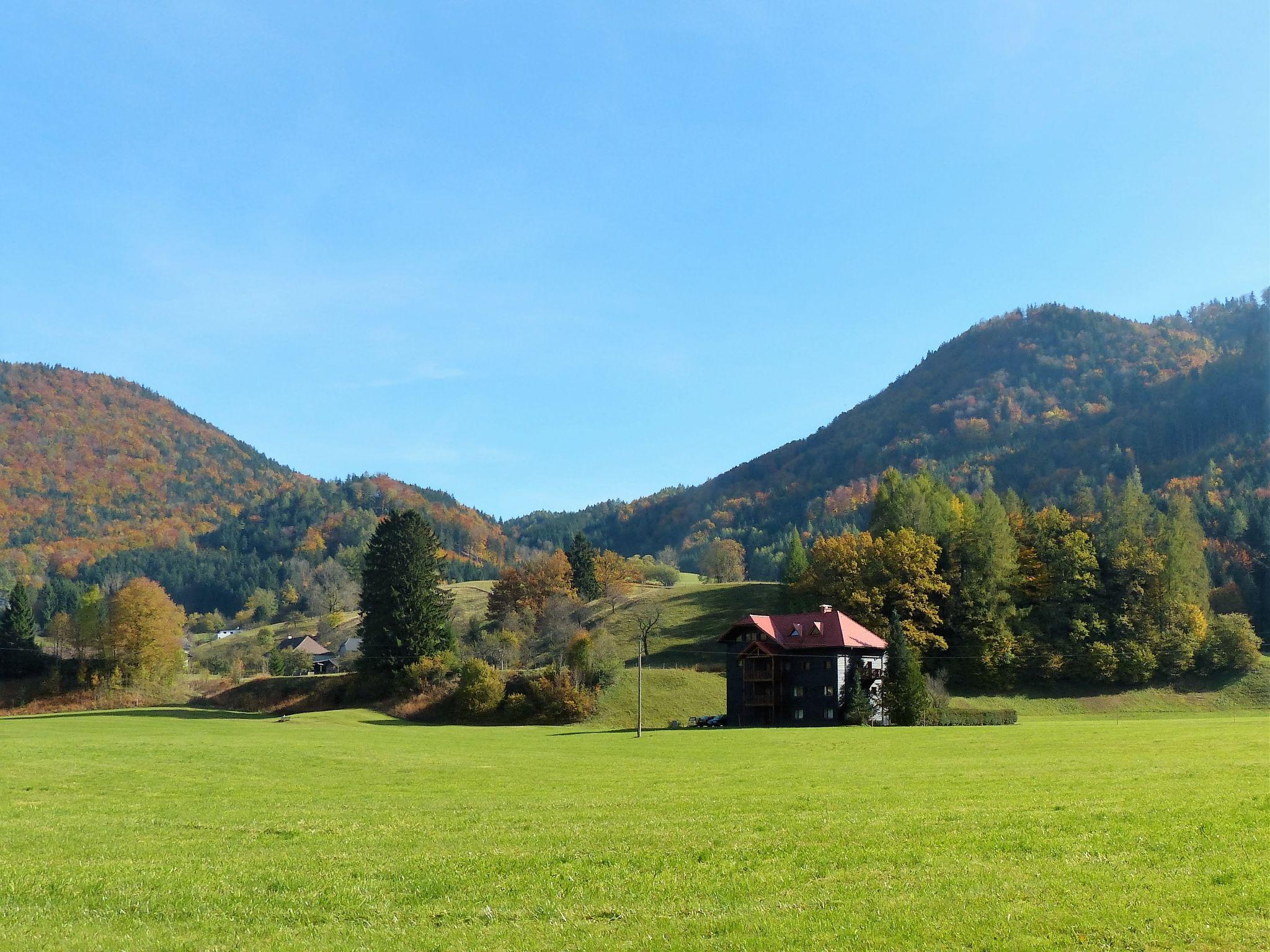 Foto 7 - Apartamento de 4 habitaciones en Grünau im Almtal con vistas a la montaña