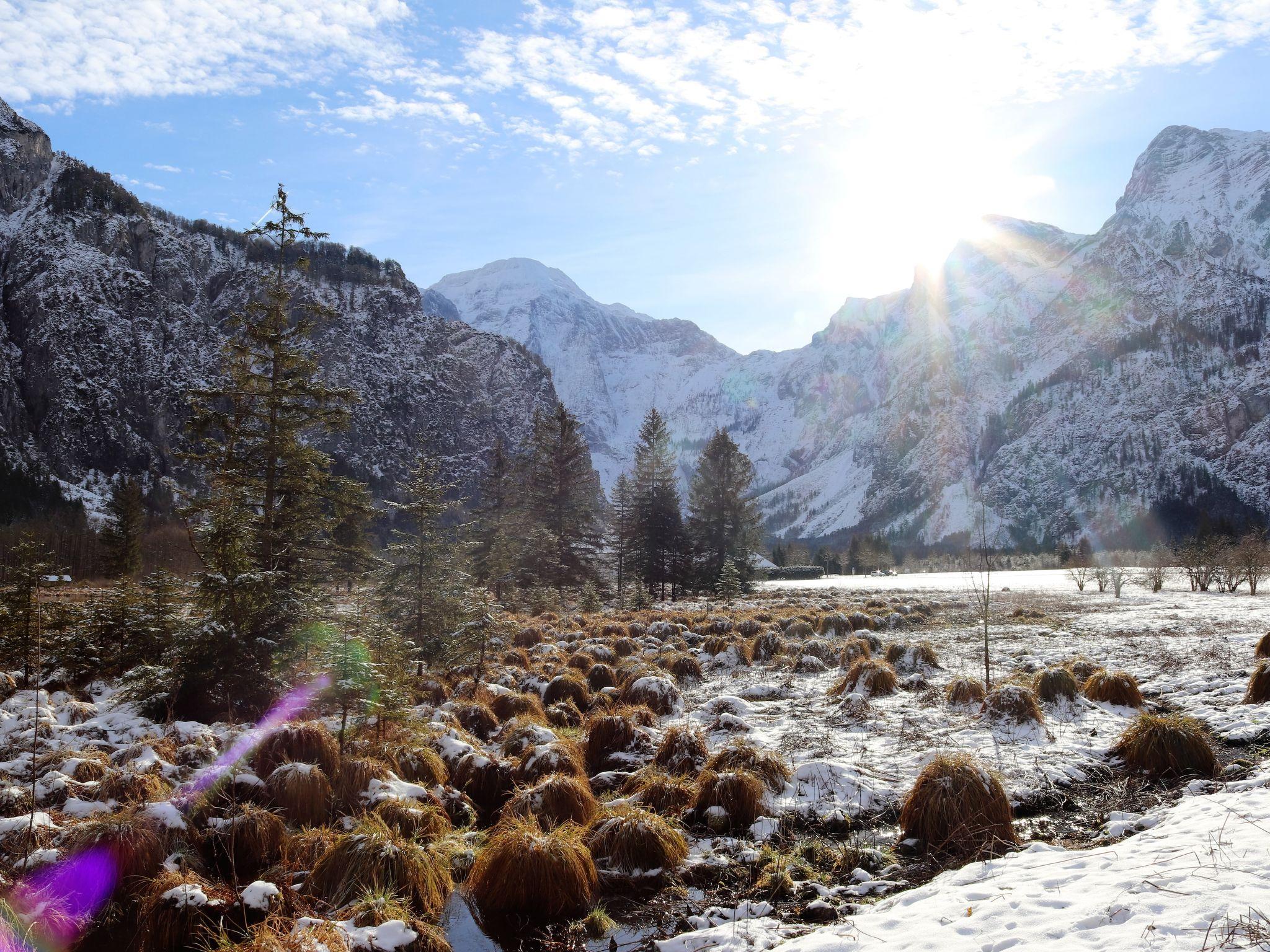 Foto 45 - Appartamento con 5 camere da letto a Grünau im Almtal con vista sulle montagne