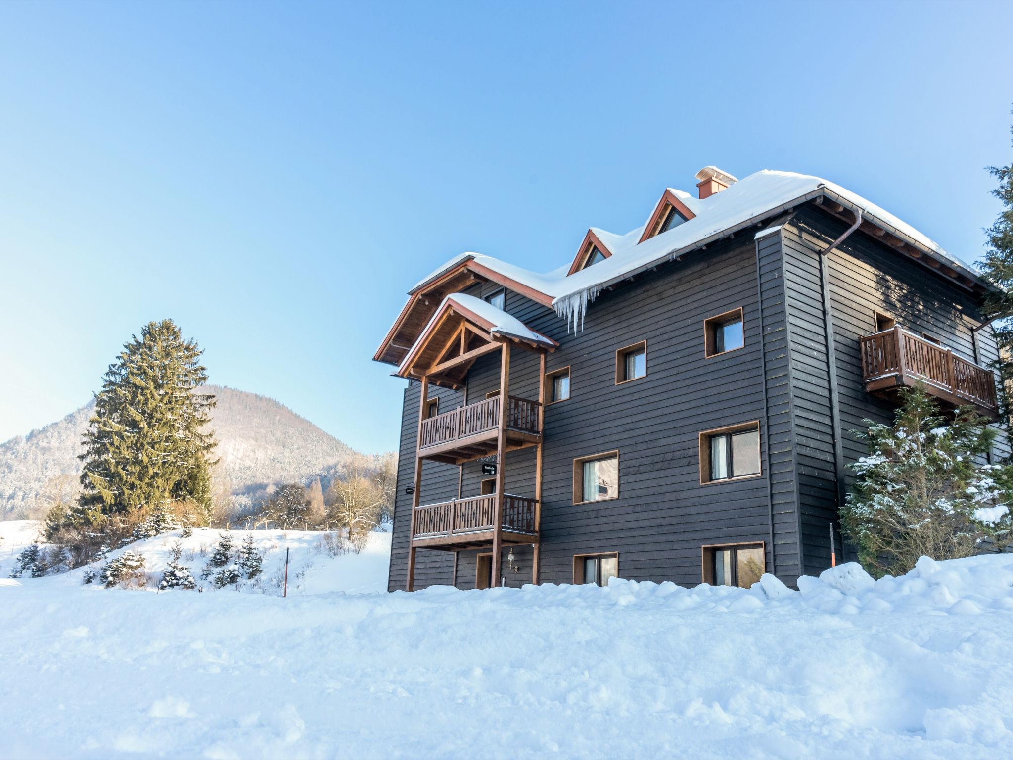 Photo 44 - Appartement de 5 chambres à Grünau im Almtal avec vues sur la montagne