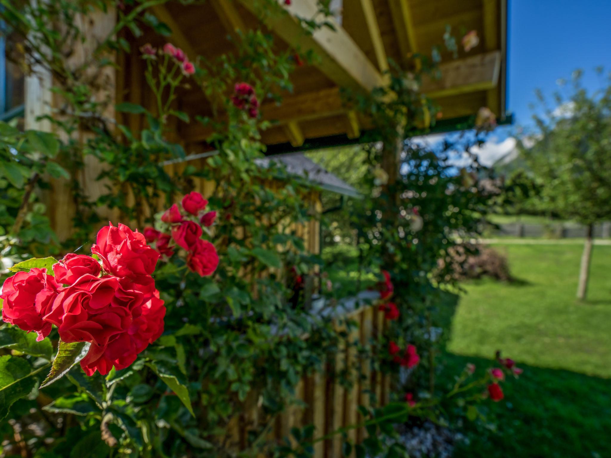 Photo 27 - Maison de 4 chambres à Bad Aussee avec jardin et vues sur la montagne